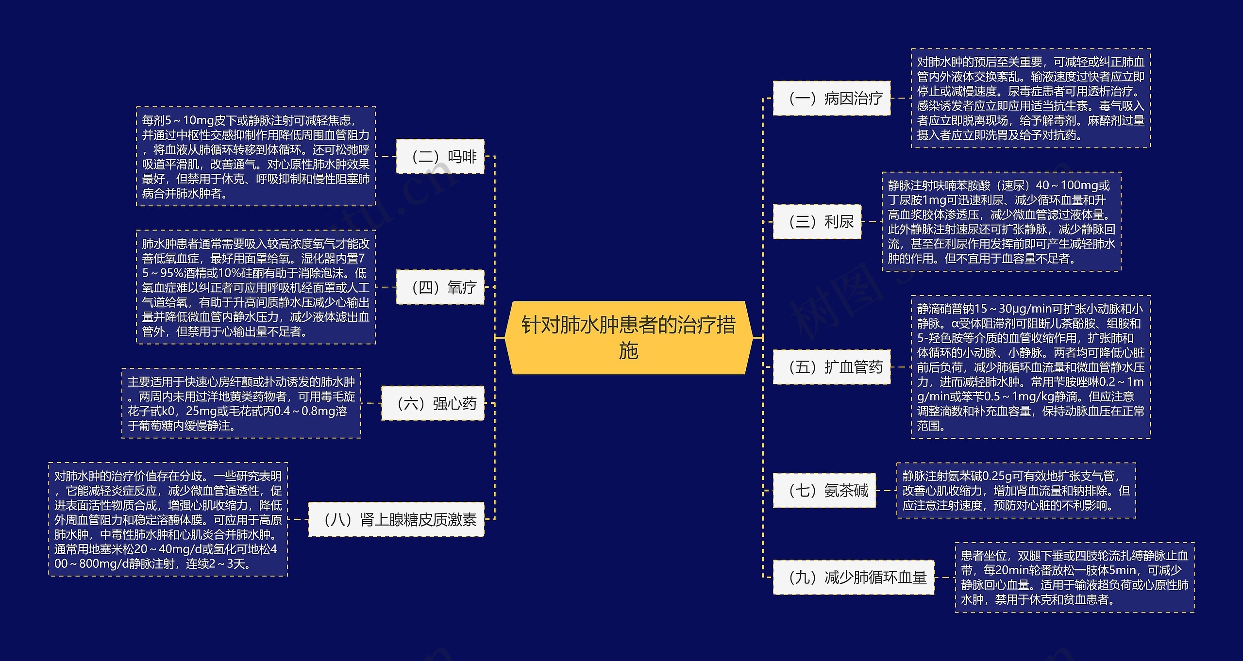 针对肺水肿患者的治疗措施思维导图