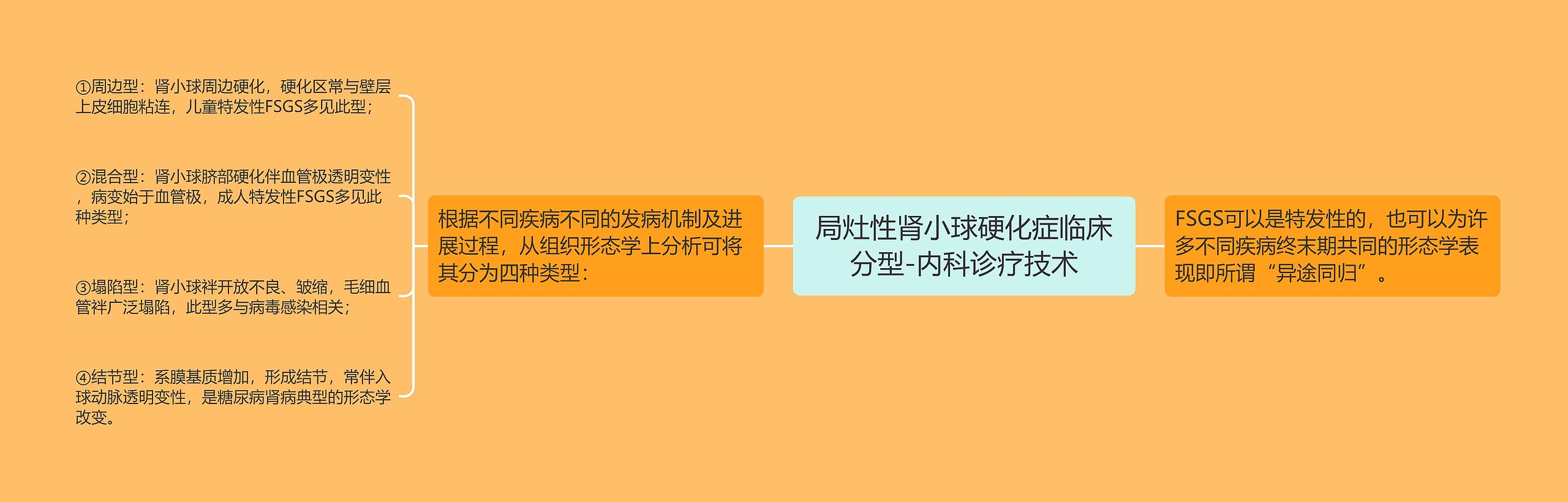 局灶性肾小球硬化症临床分型-内科诊疗技术