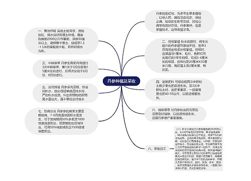 丹参种植及采收