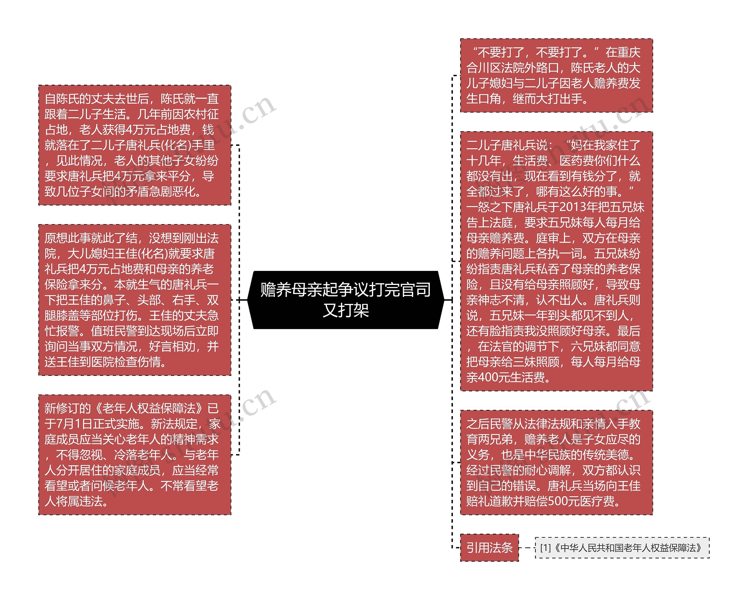 赡养母亲起争议打完官司又打架思维导图