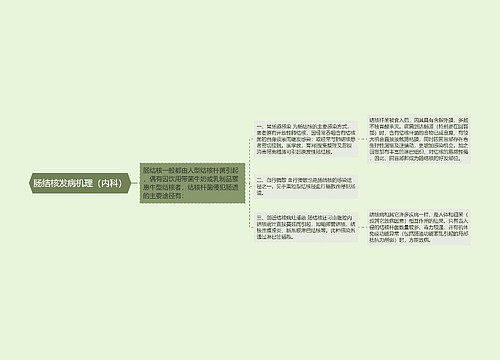 肠结核发病机理（内科）