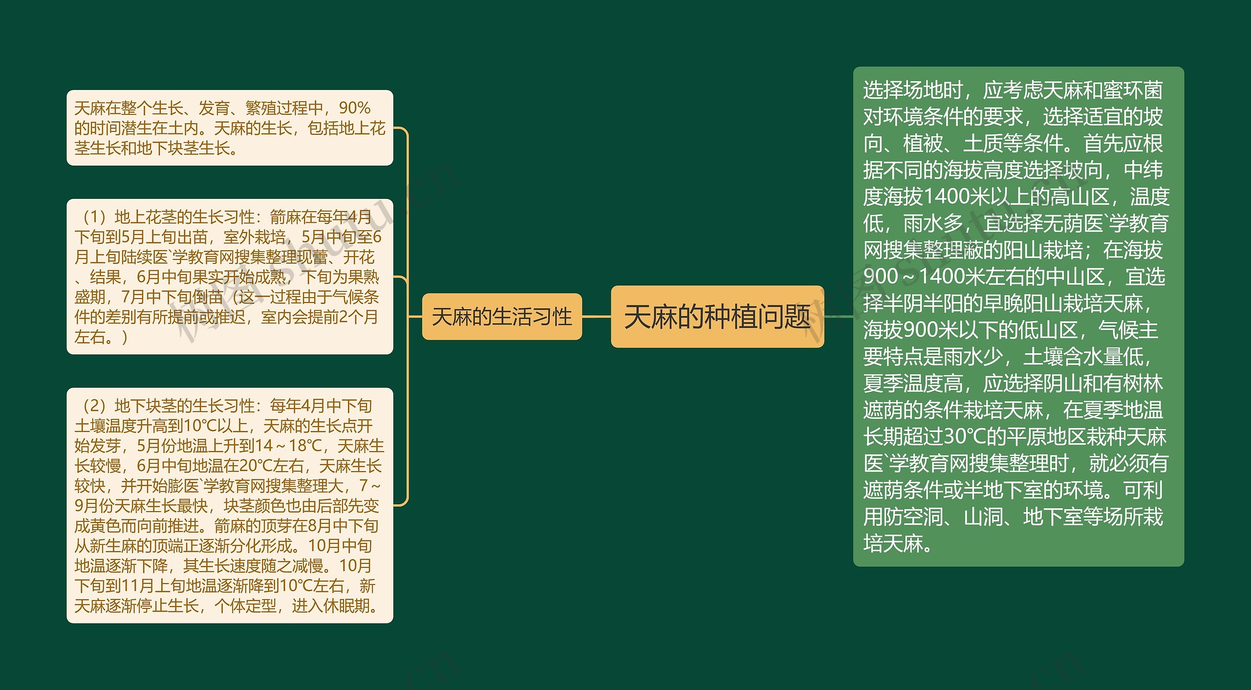 天麻的种植问题思维导图