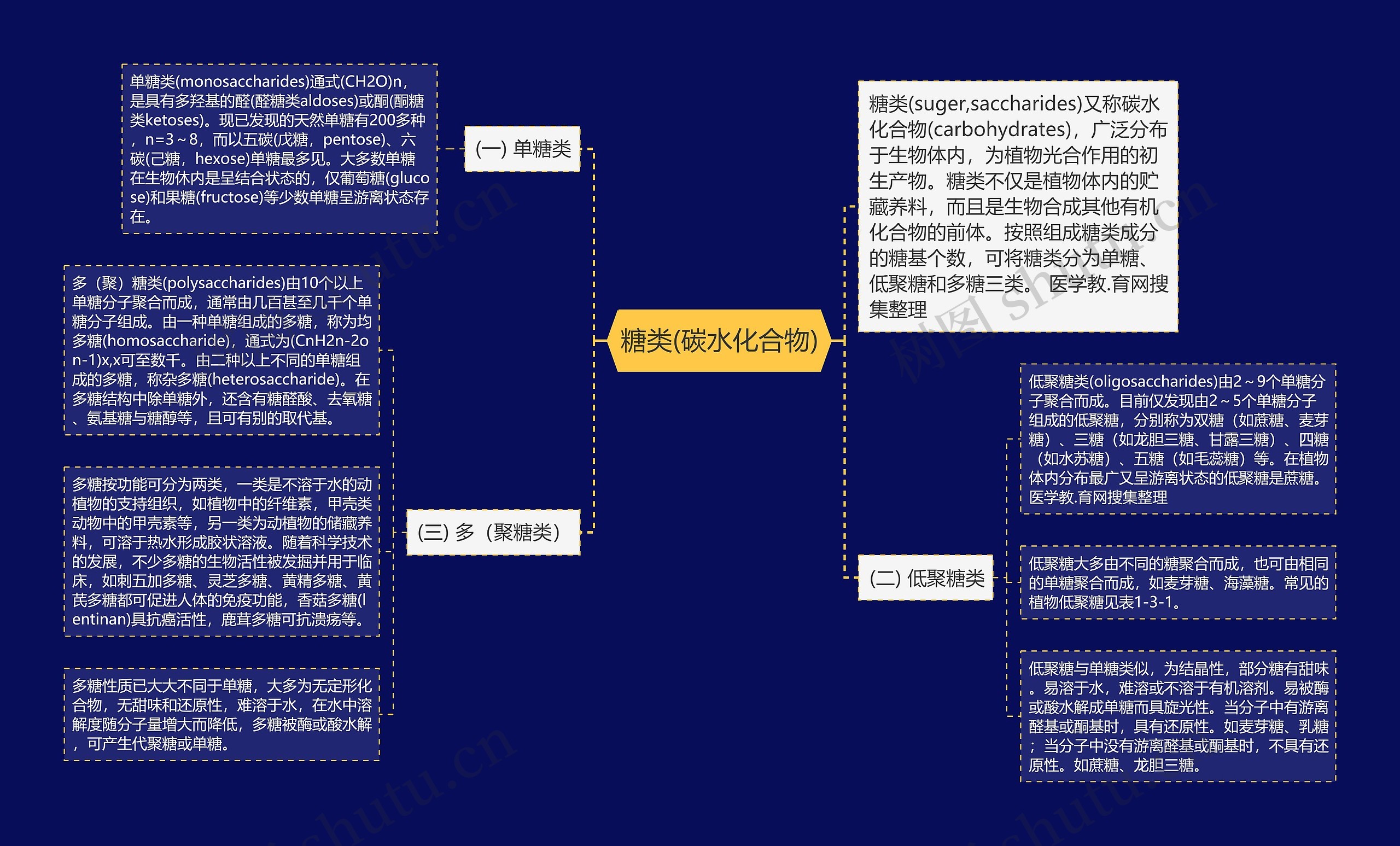 糖类(碳水化合物)思维导图