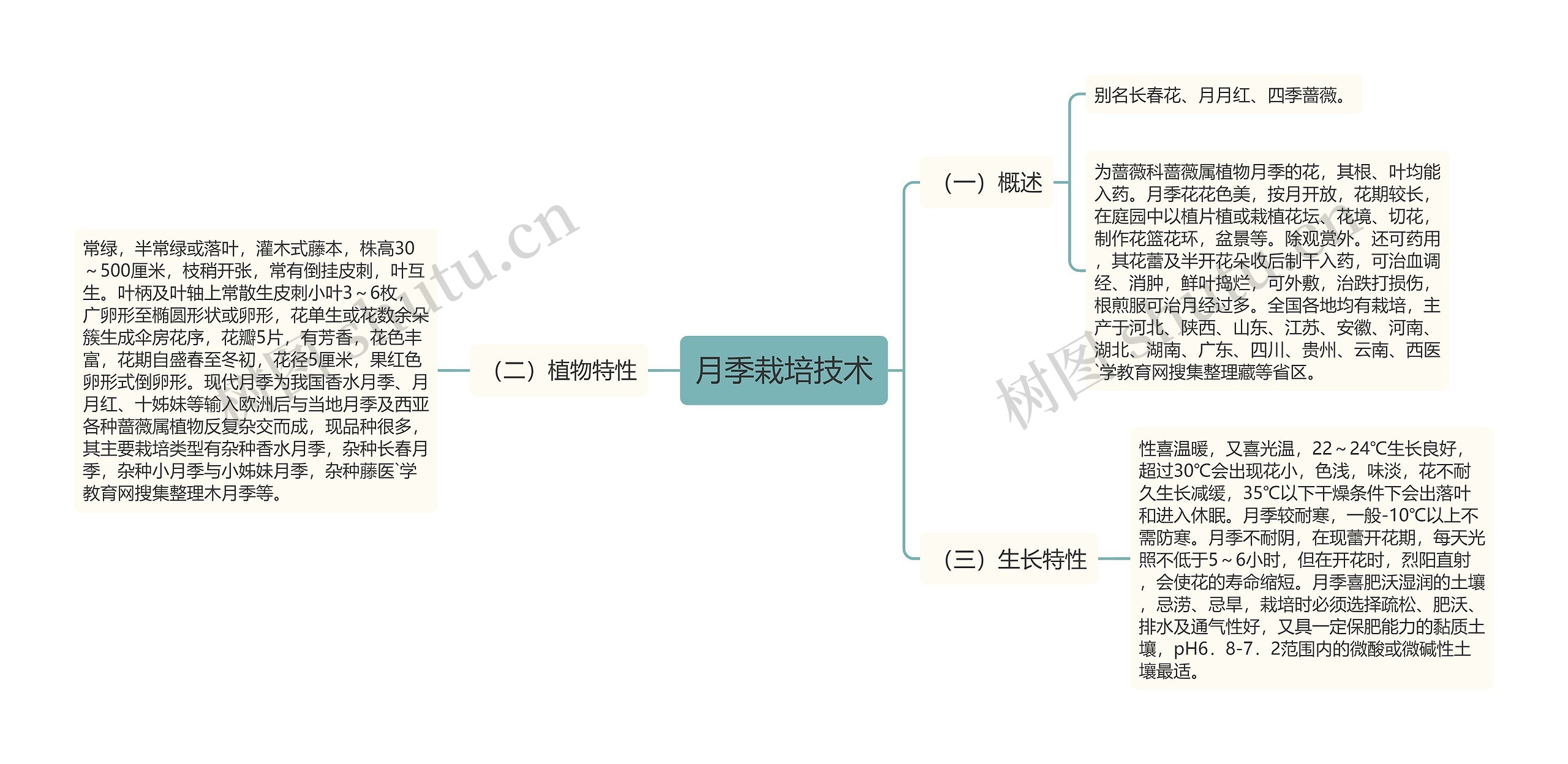 月季栽培技术思维导图高清图 月季栽培技术思维导图