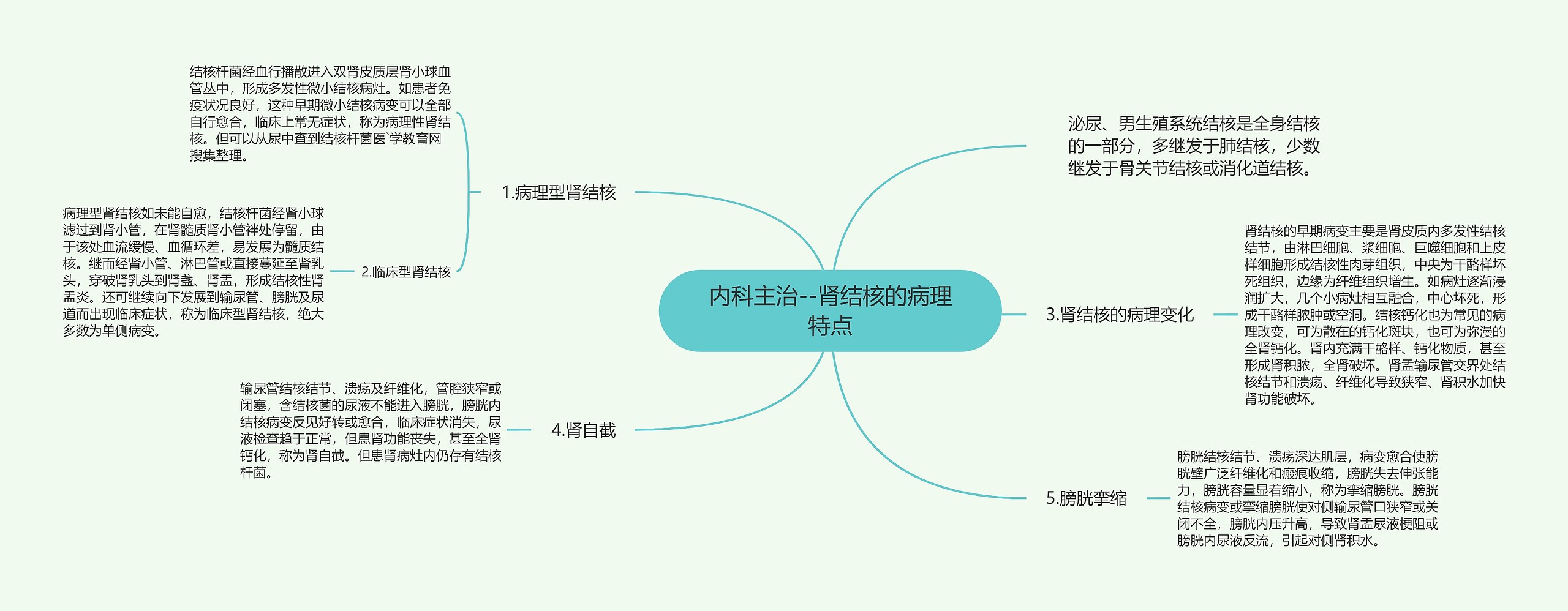 内科主治--肾结核的病理特点思维导图