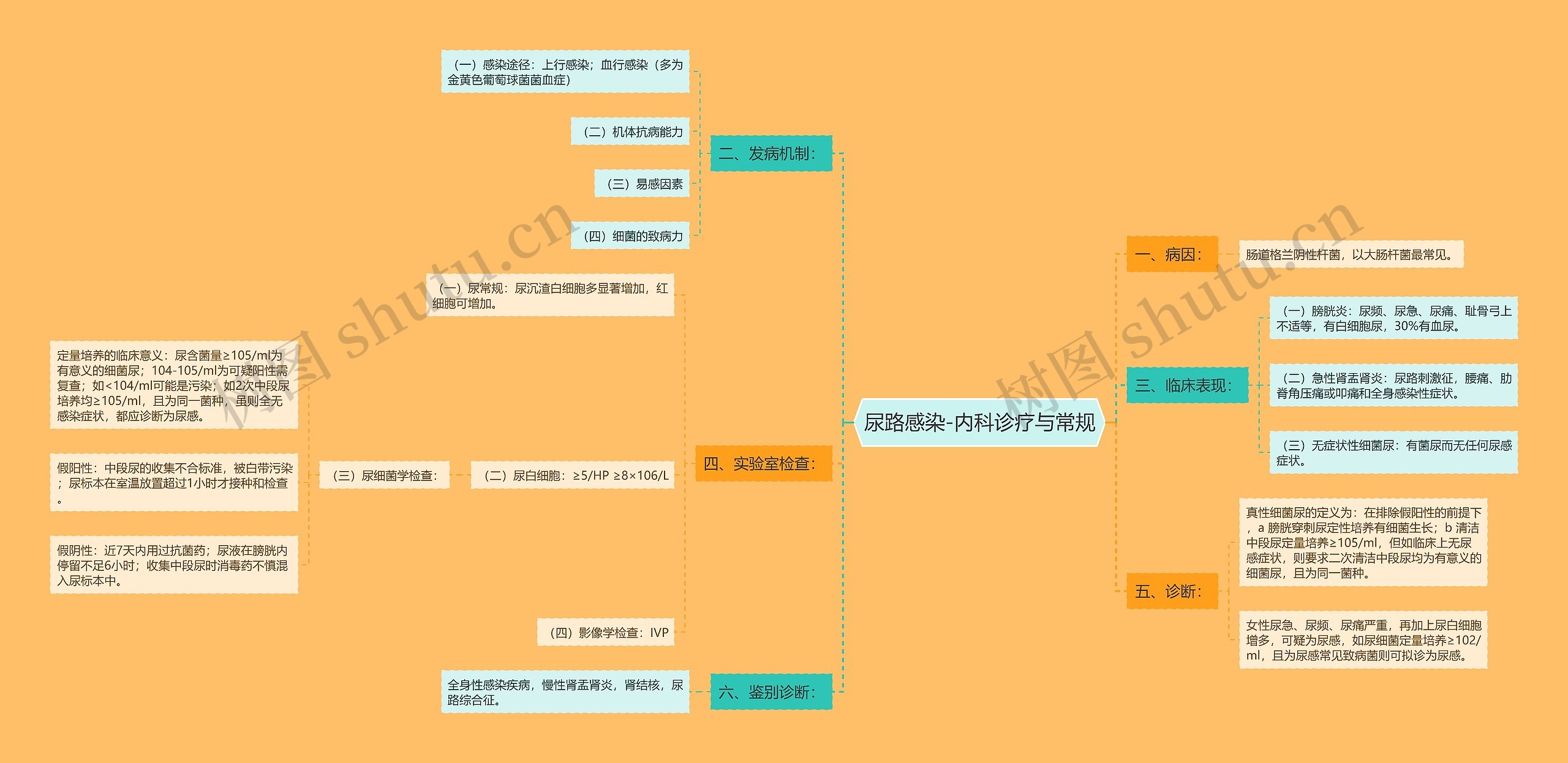 尿路感染-内科诊疗与常规思维导图