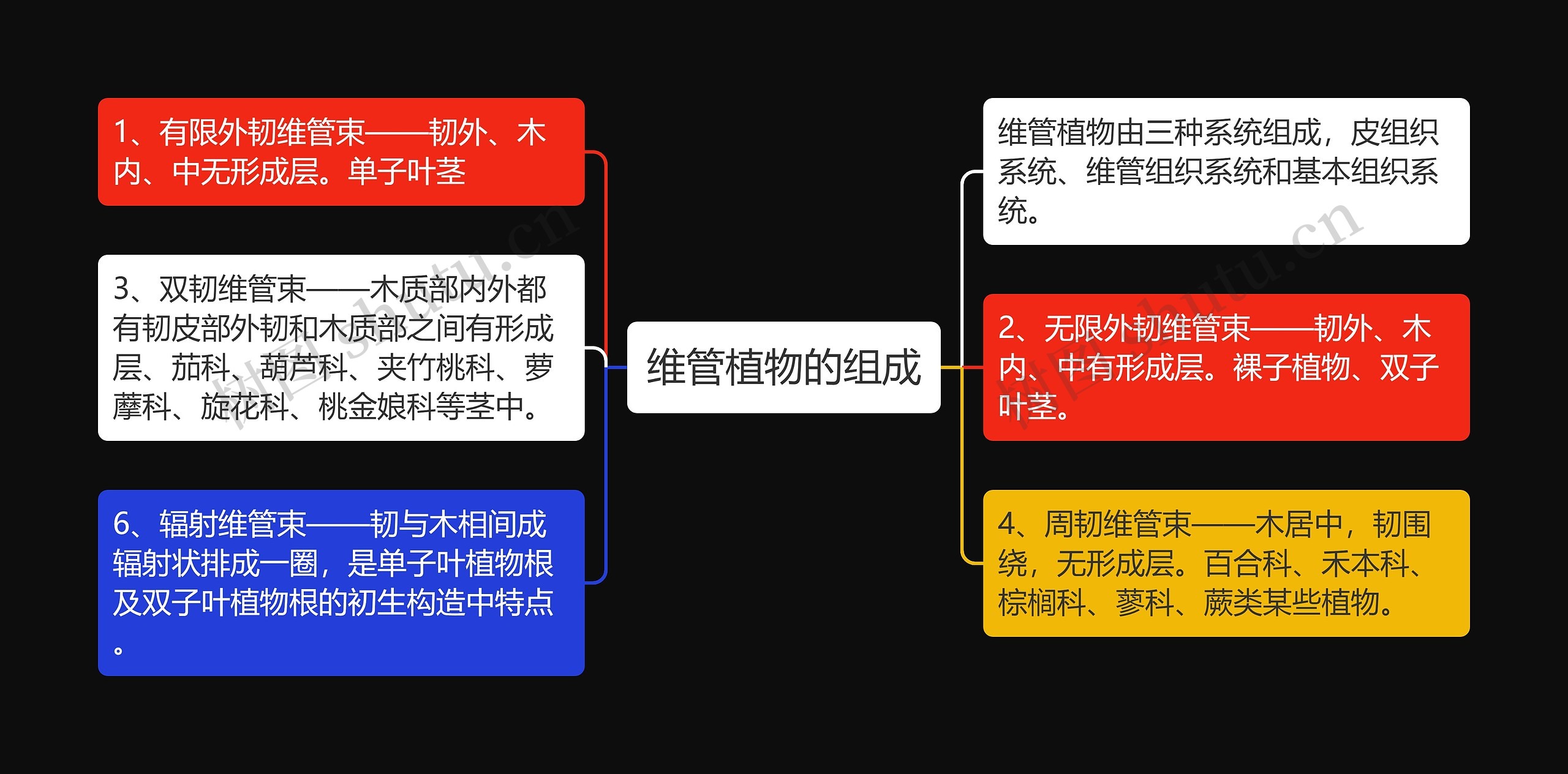 维管植物的组成