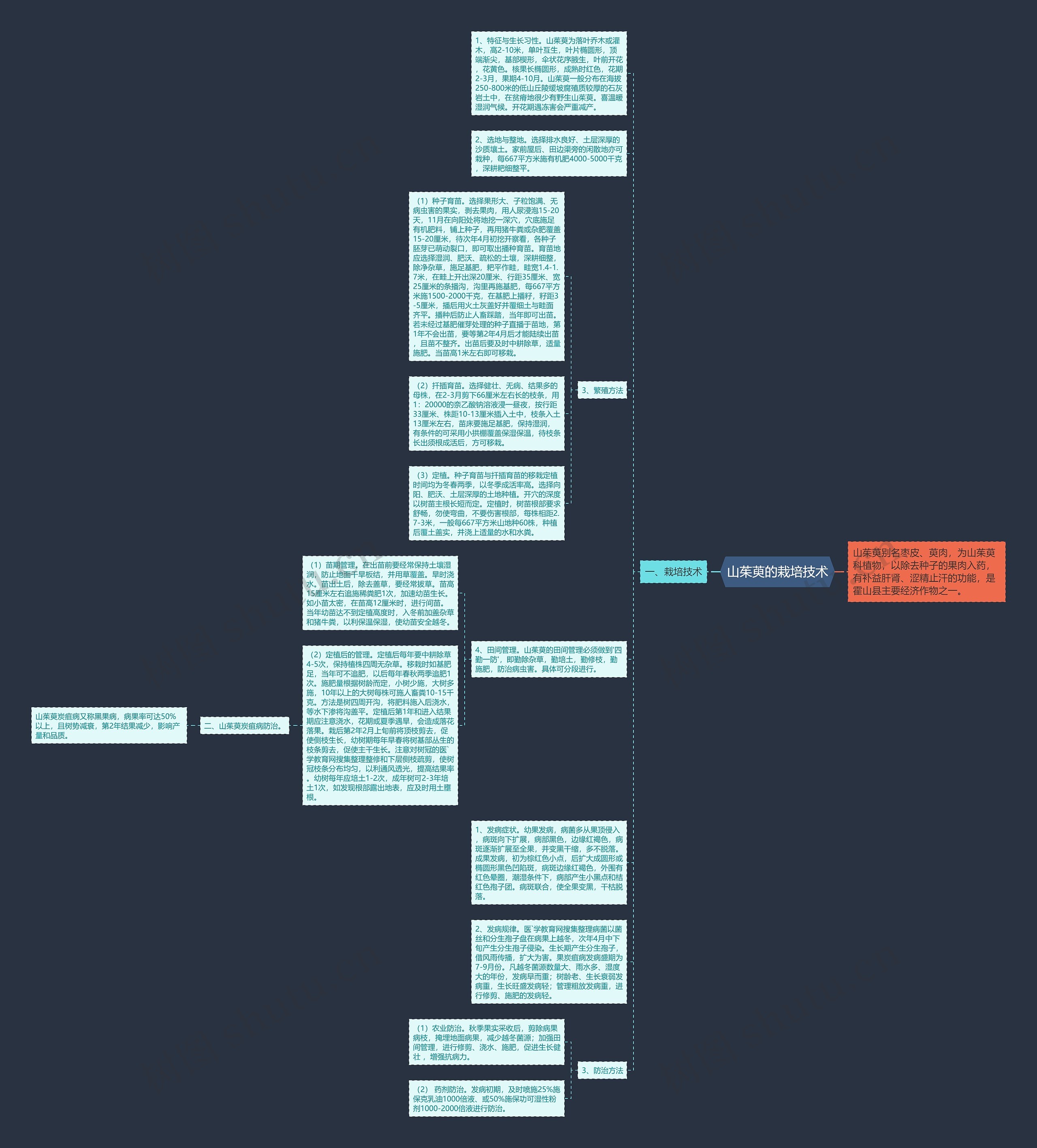 山茱萸的栽培技术思维导图