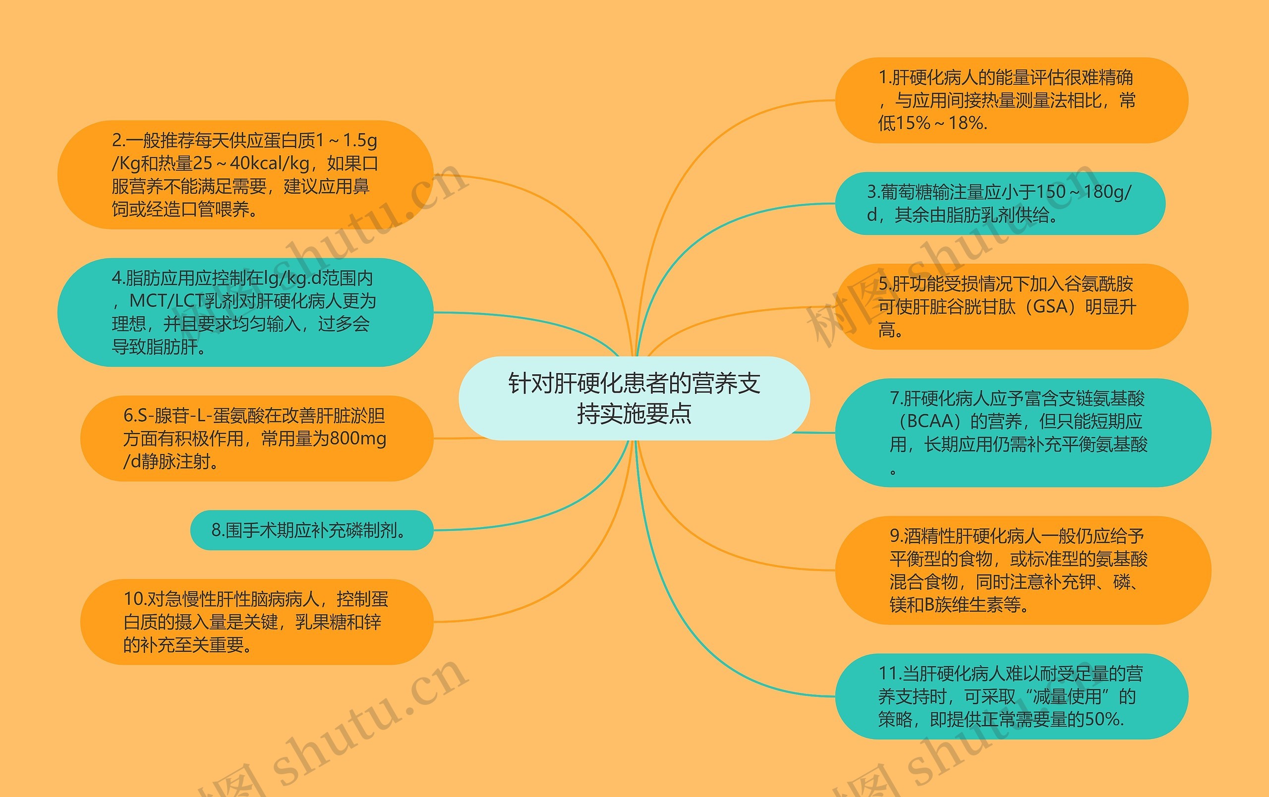 针对肝硬化患者的营养支持实施要点