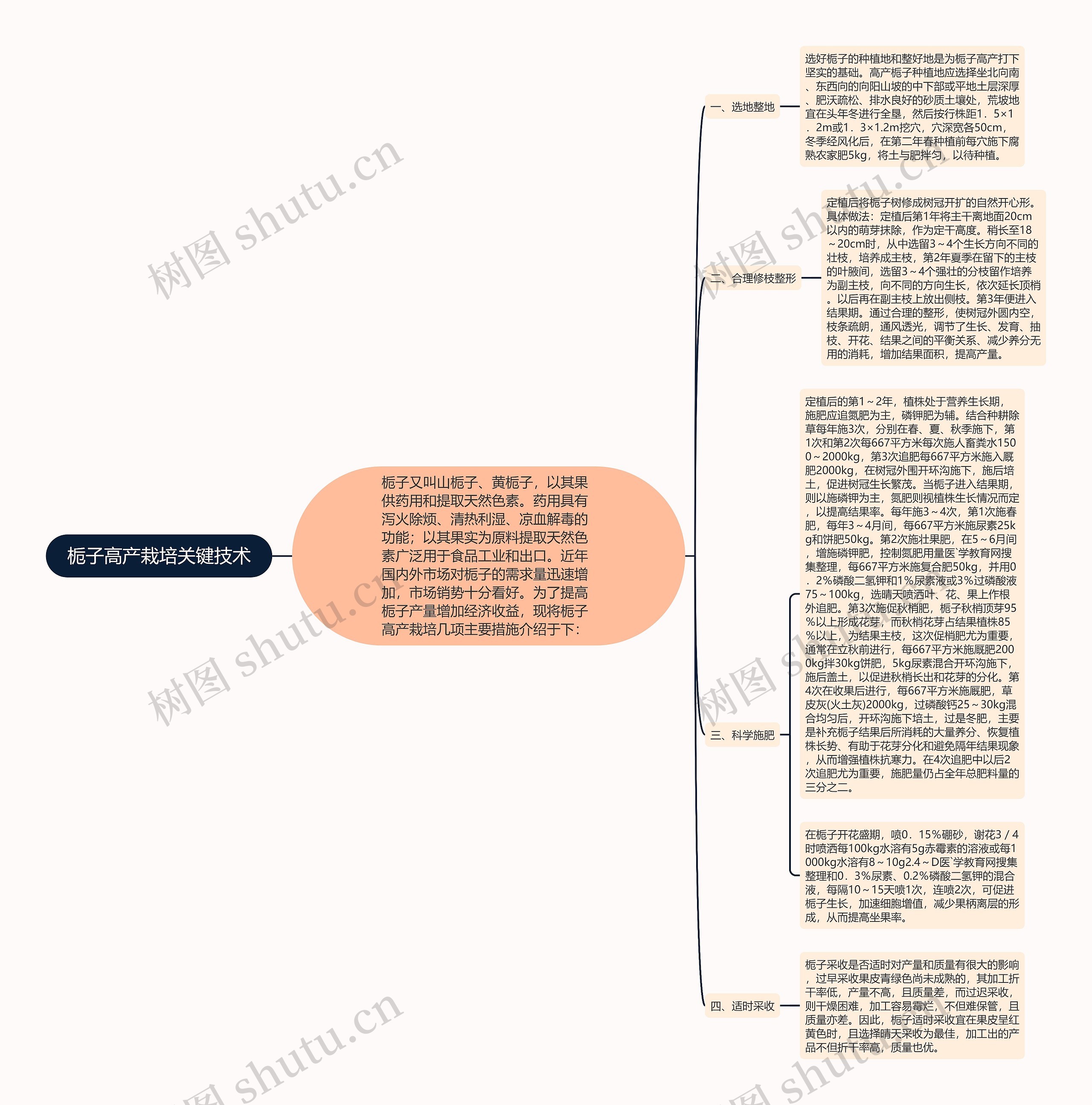 栀子高产栽培关键技术思维导图