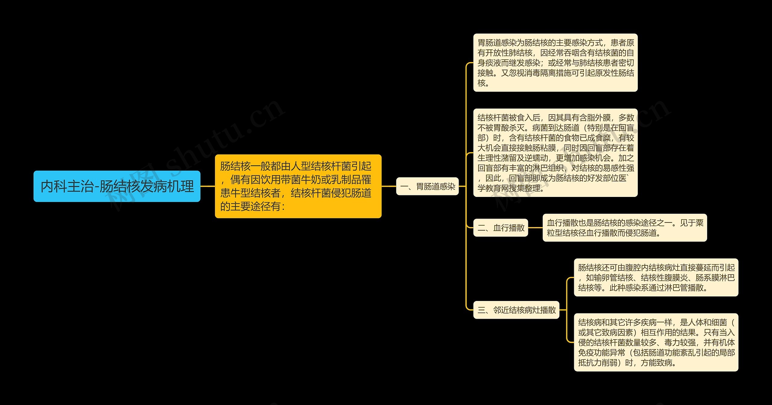 内科主治-肠结核发病机理