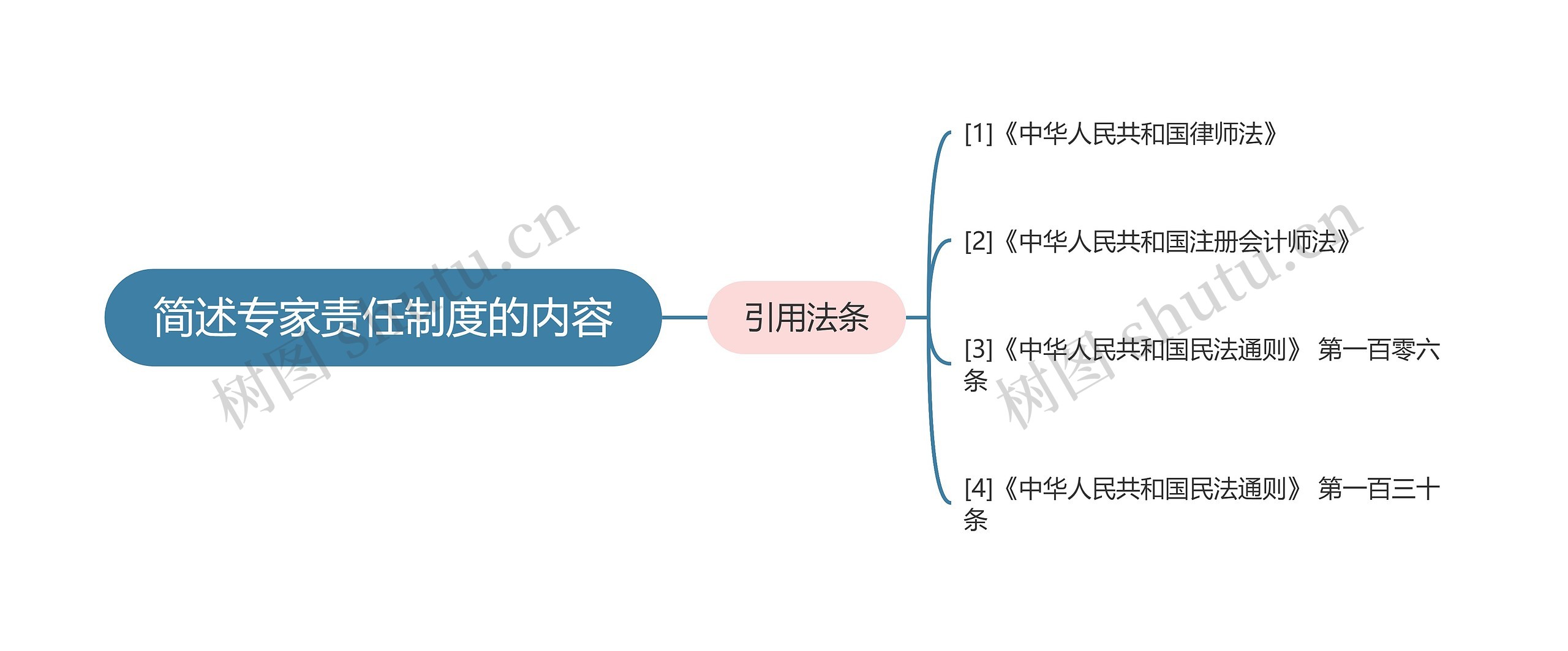 简述专家责任制度的内容