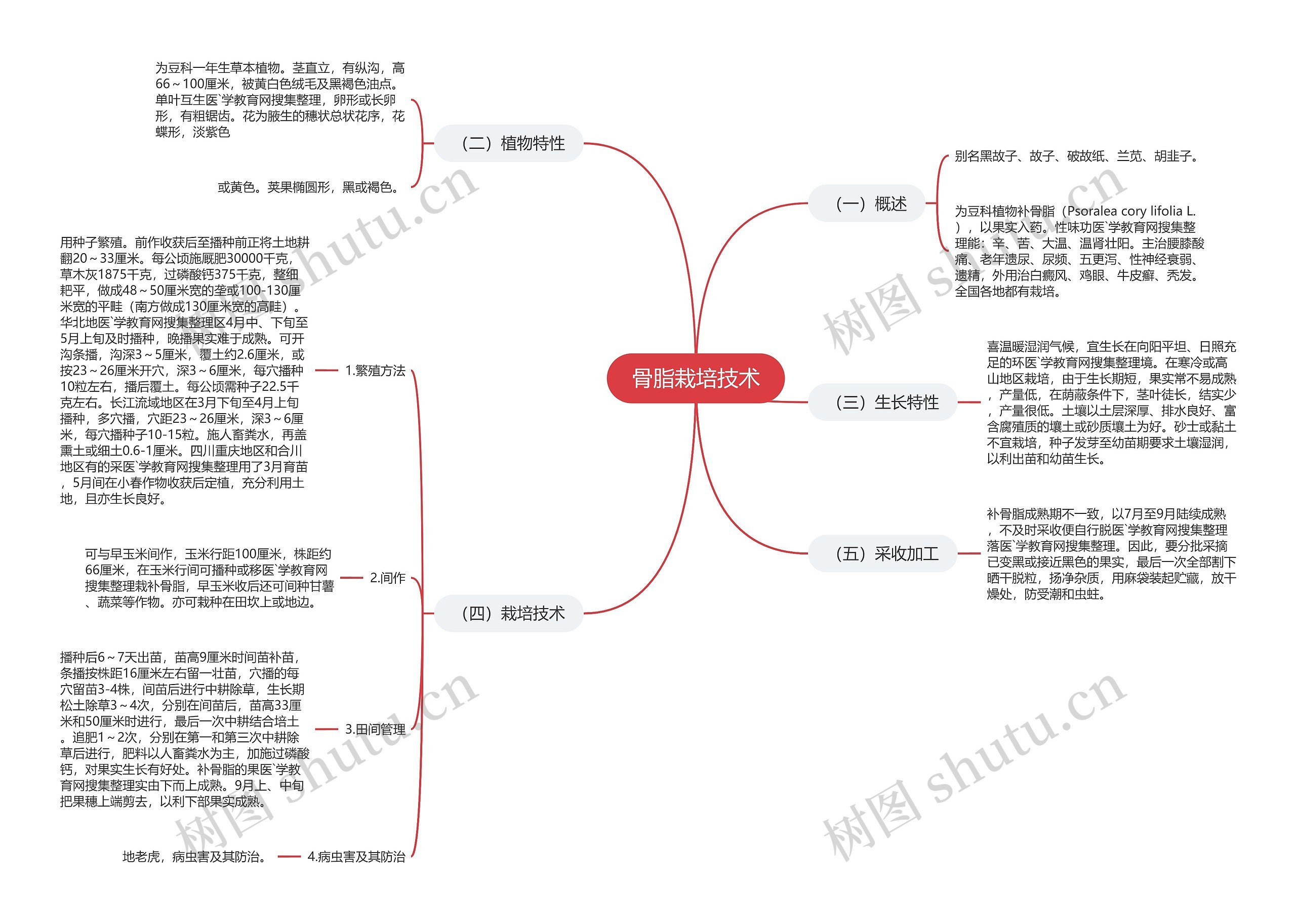 骨脂栽培技术 骨脂栽培技术