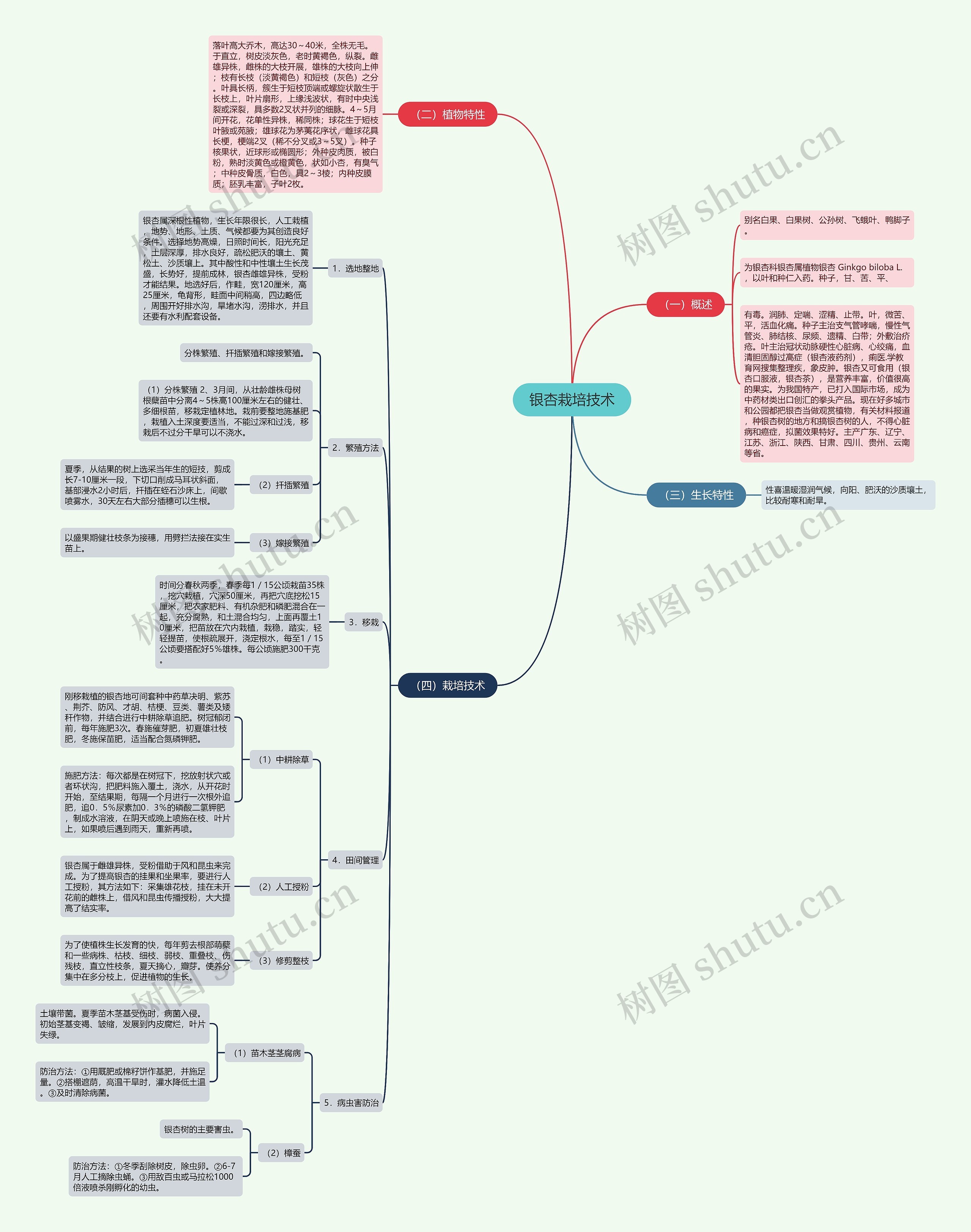 银杏栽培技术思维导图