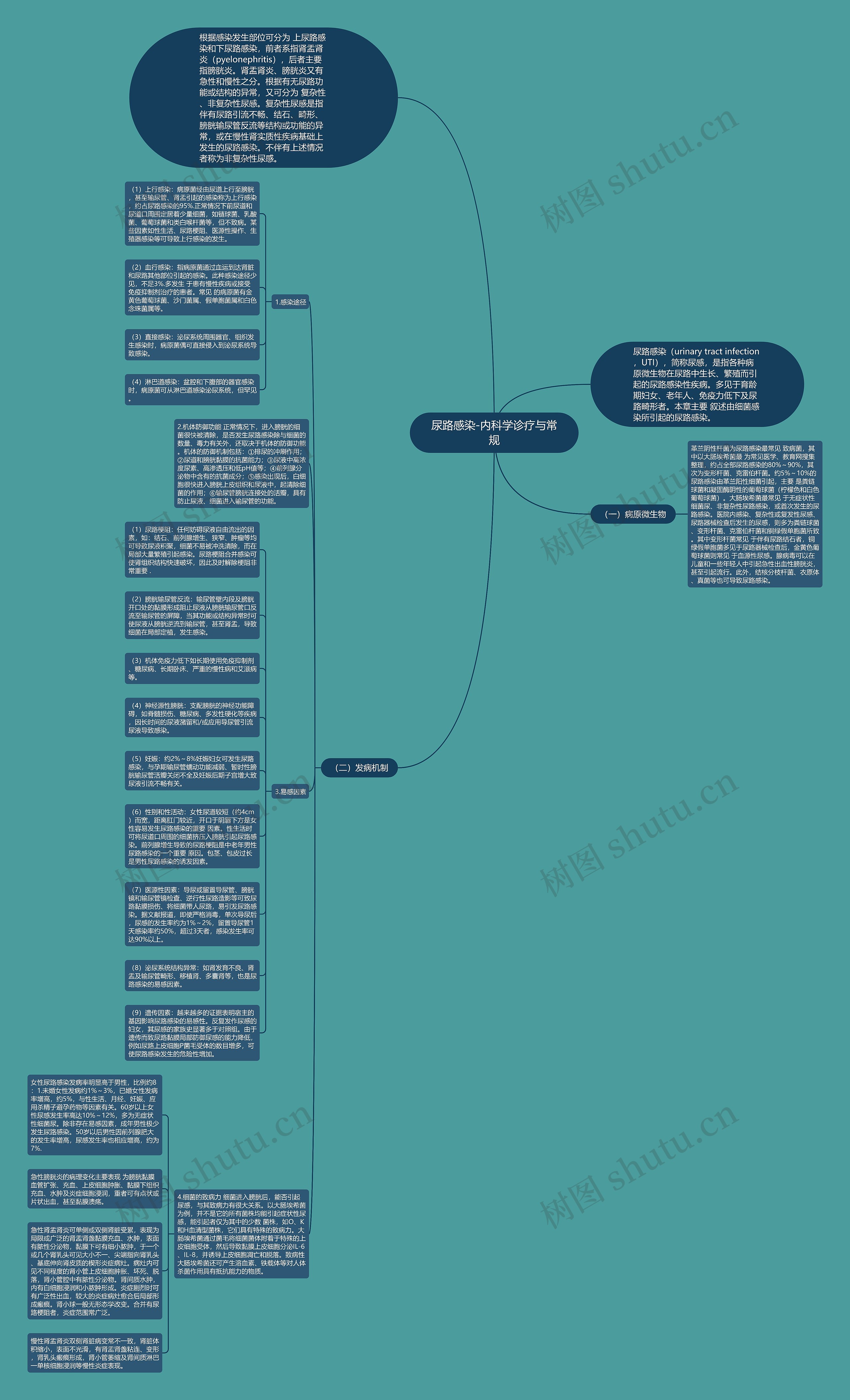 尿路感染-内科学诊疗与常规思维导图