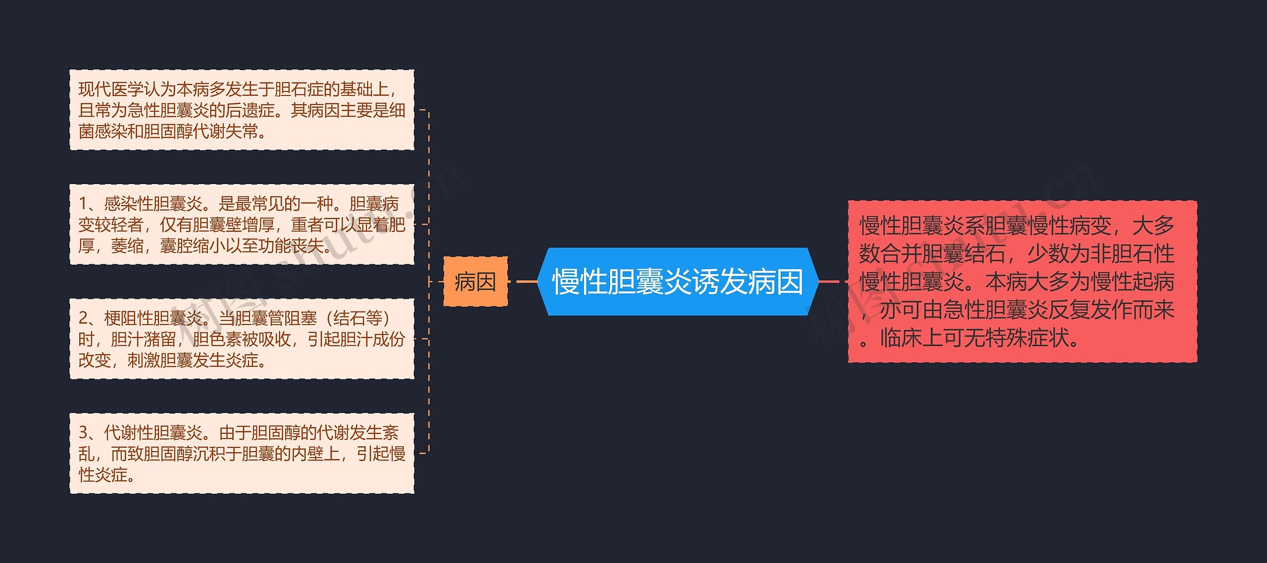 慢性胆囊炎诱发病因思维导图