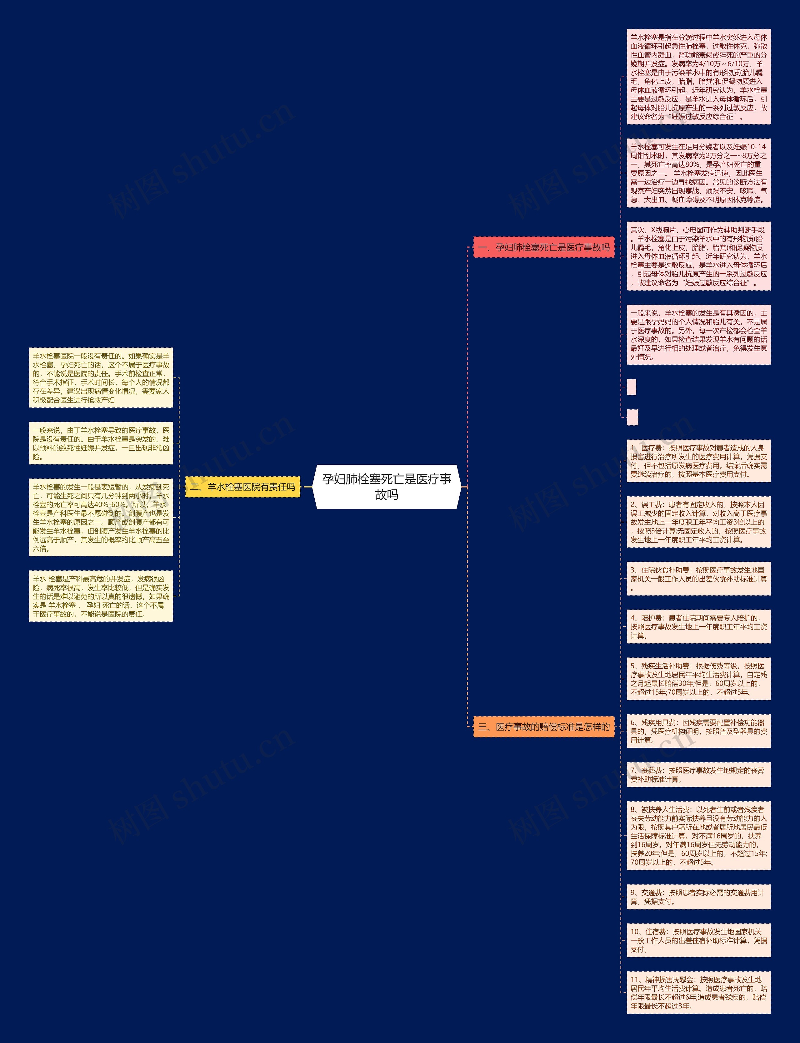 孕妇肺栓塞死亡是医疗事故吗思维导图