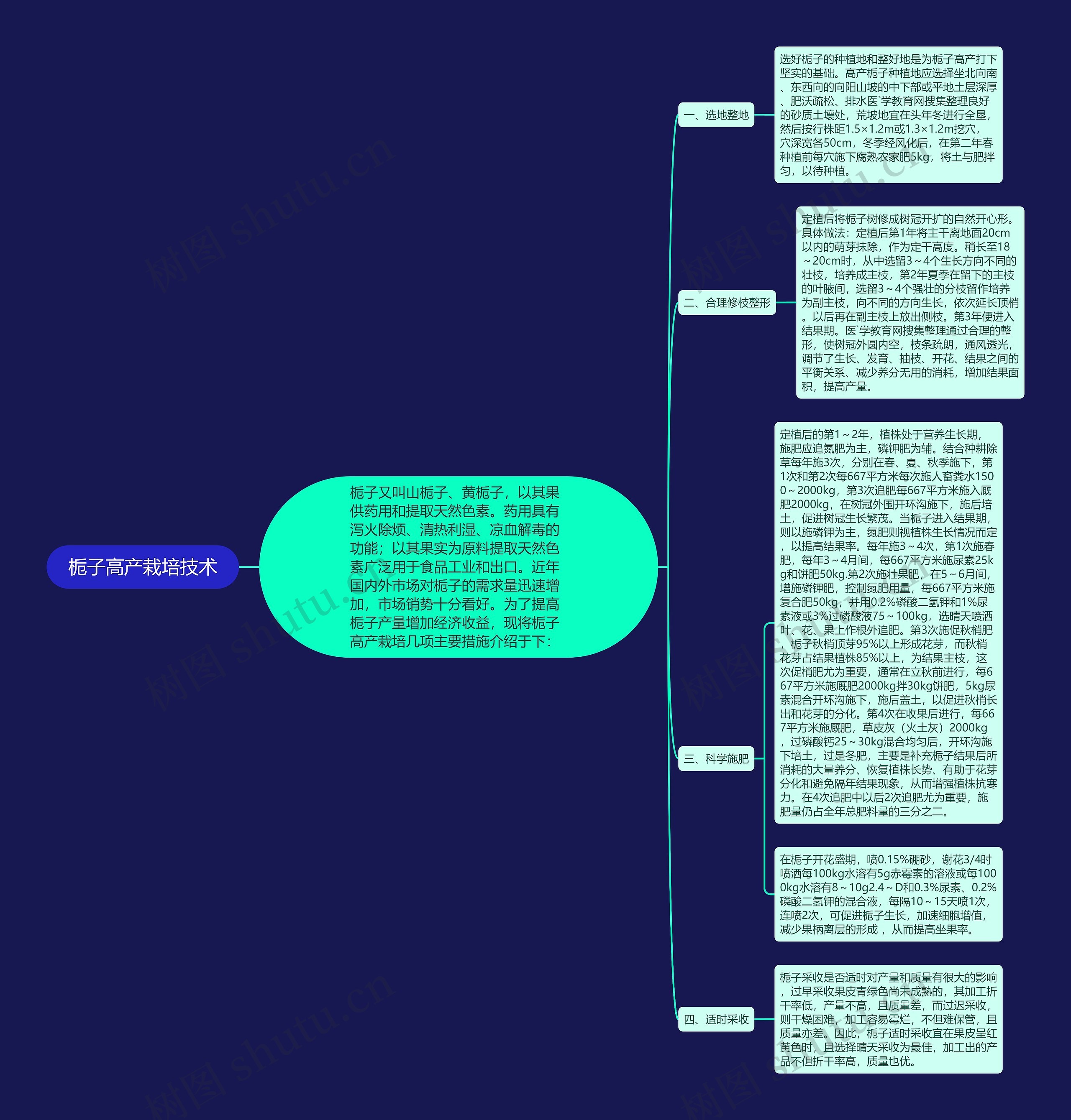 栀子高产栽培技术思维导图