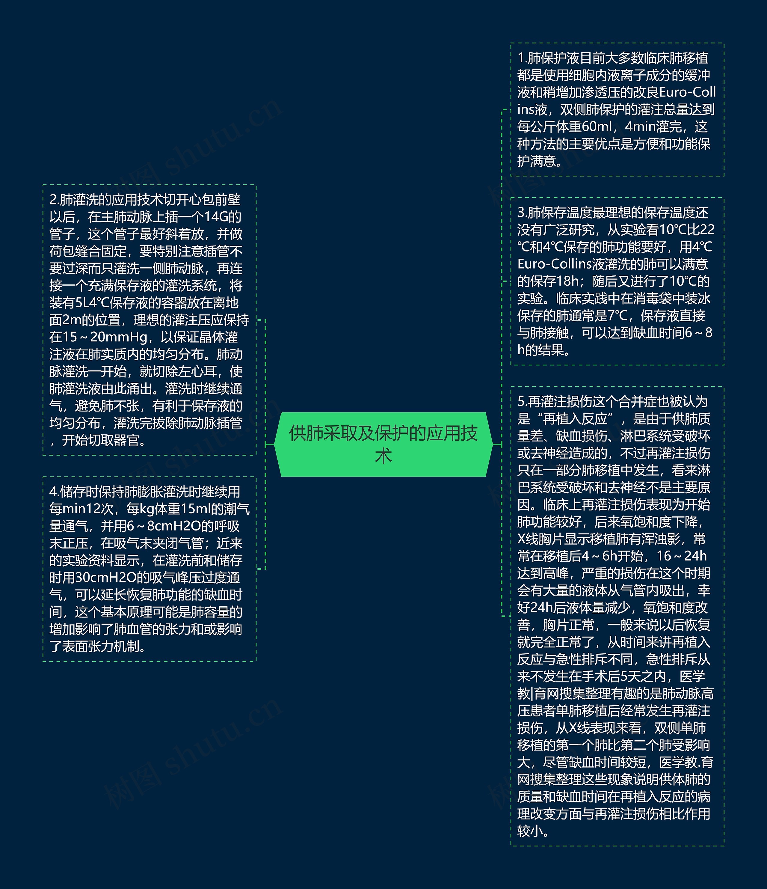 供肺采取及保护的应用技术