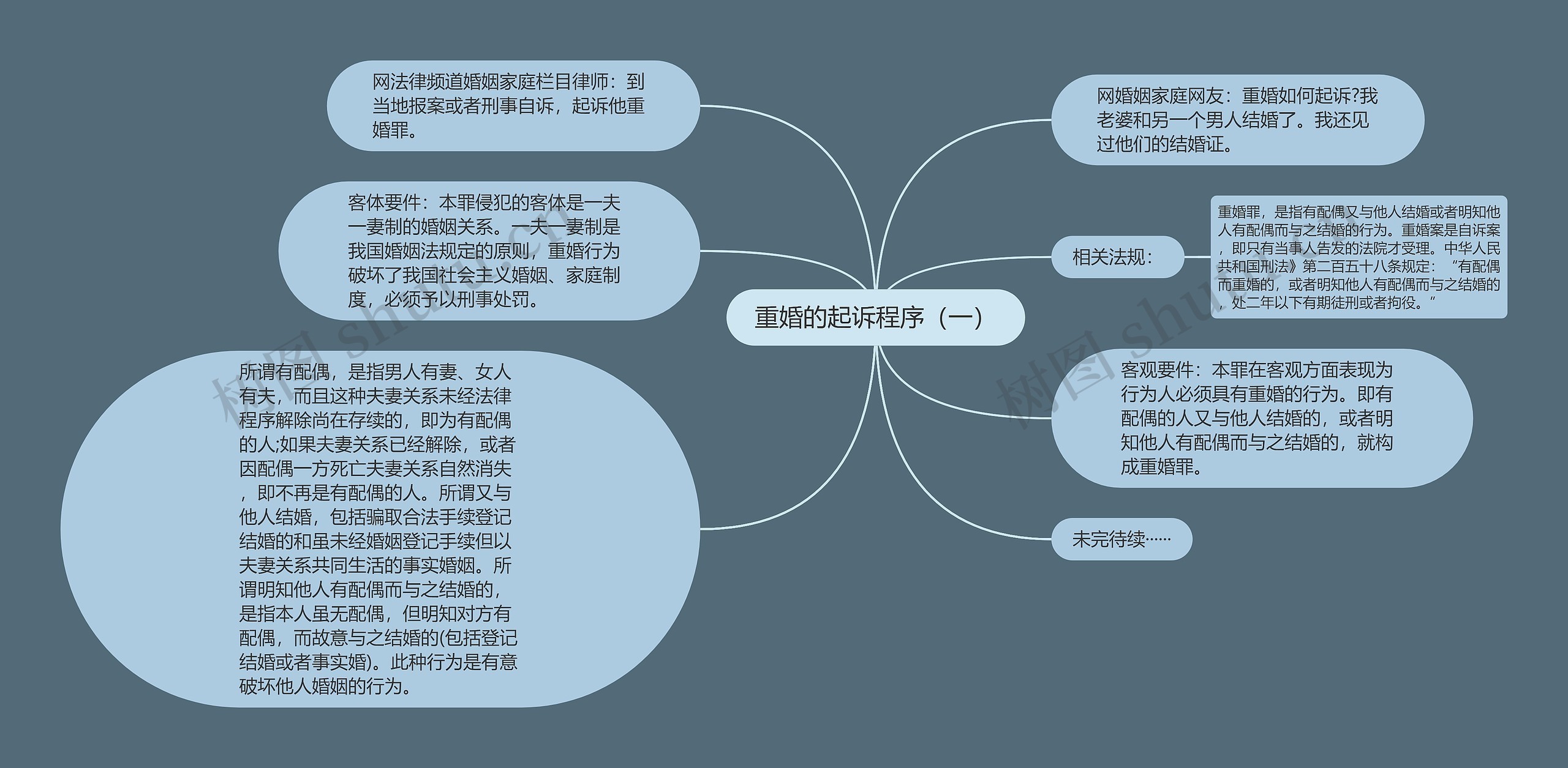 重婚的起诉程序（一）
