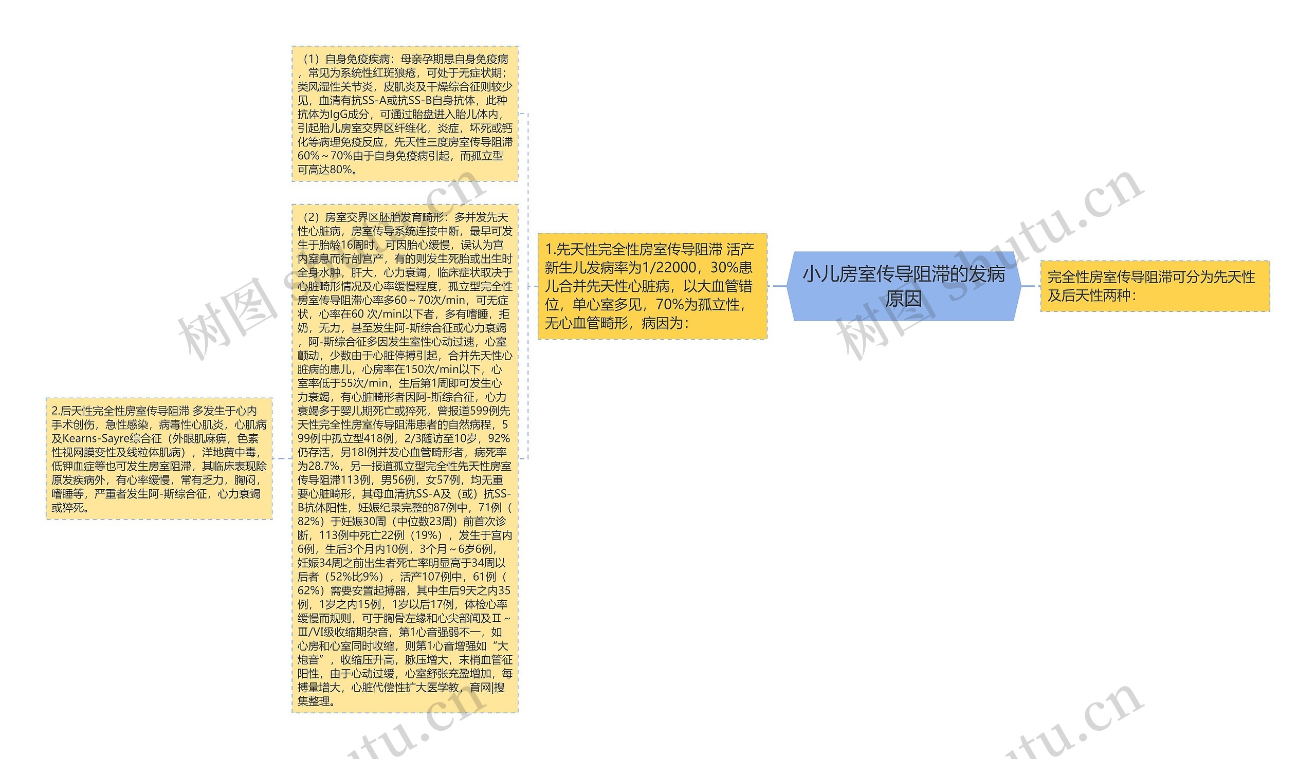 小儿房室传导阻滞的发病原因 小儿房室传导阻滞的发病原因