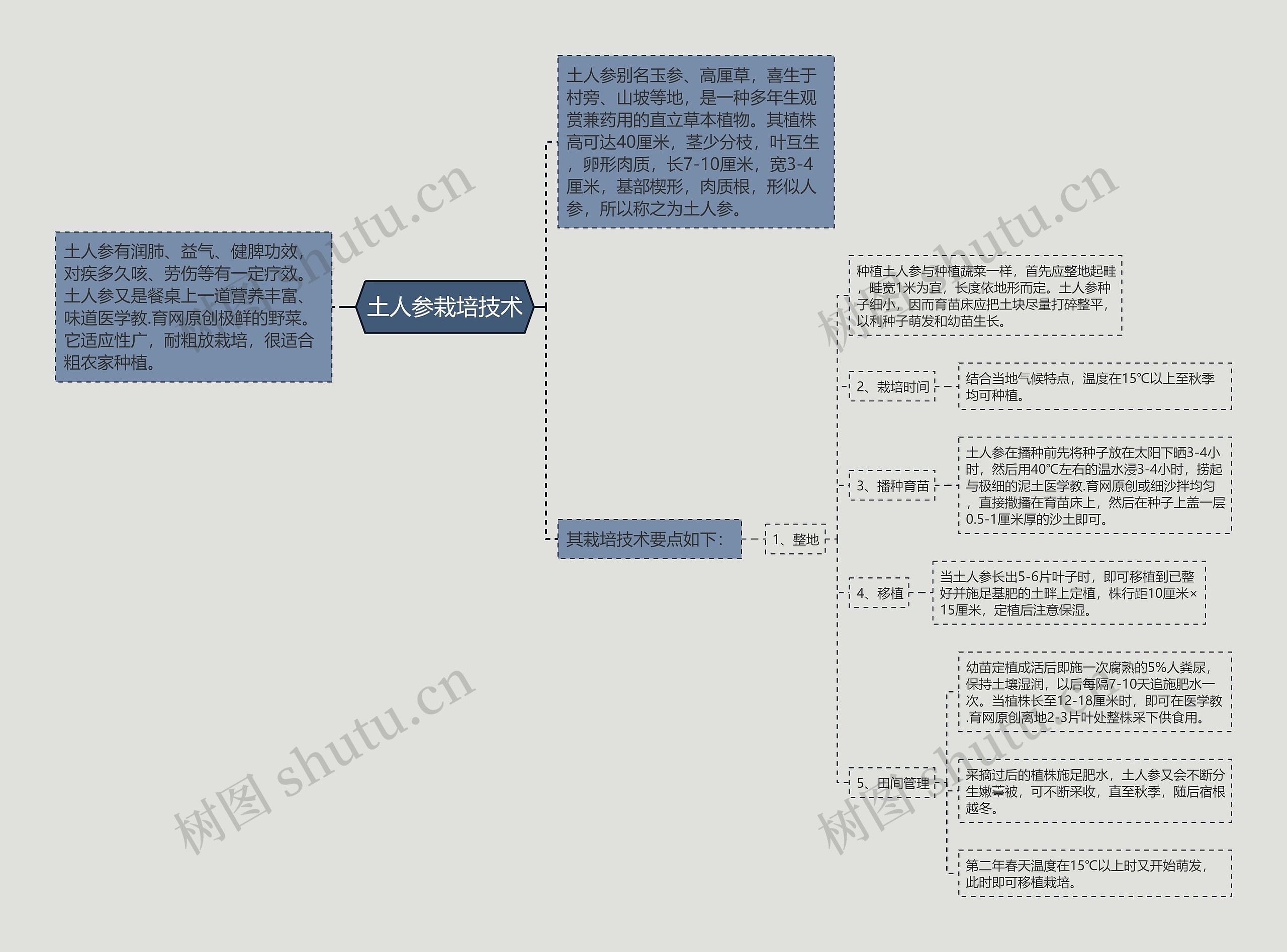 土人参栽培技术思维导图