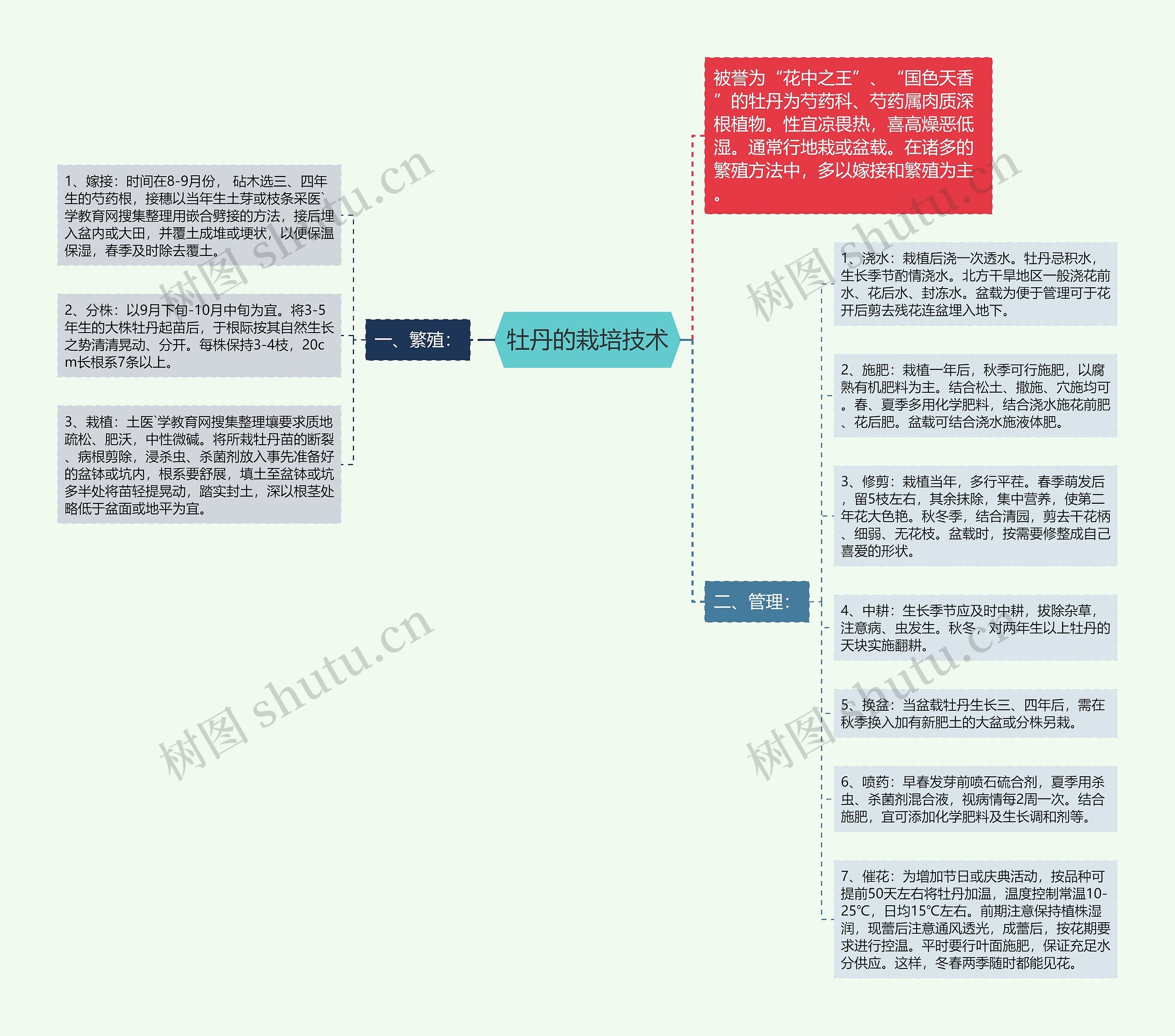 牡丹的栽培技术