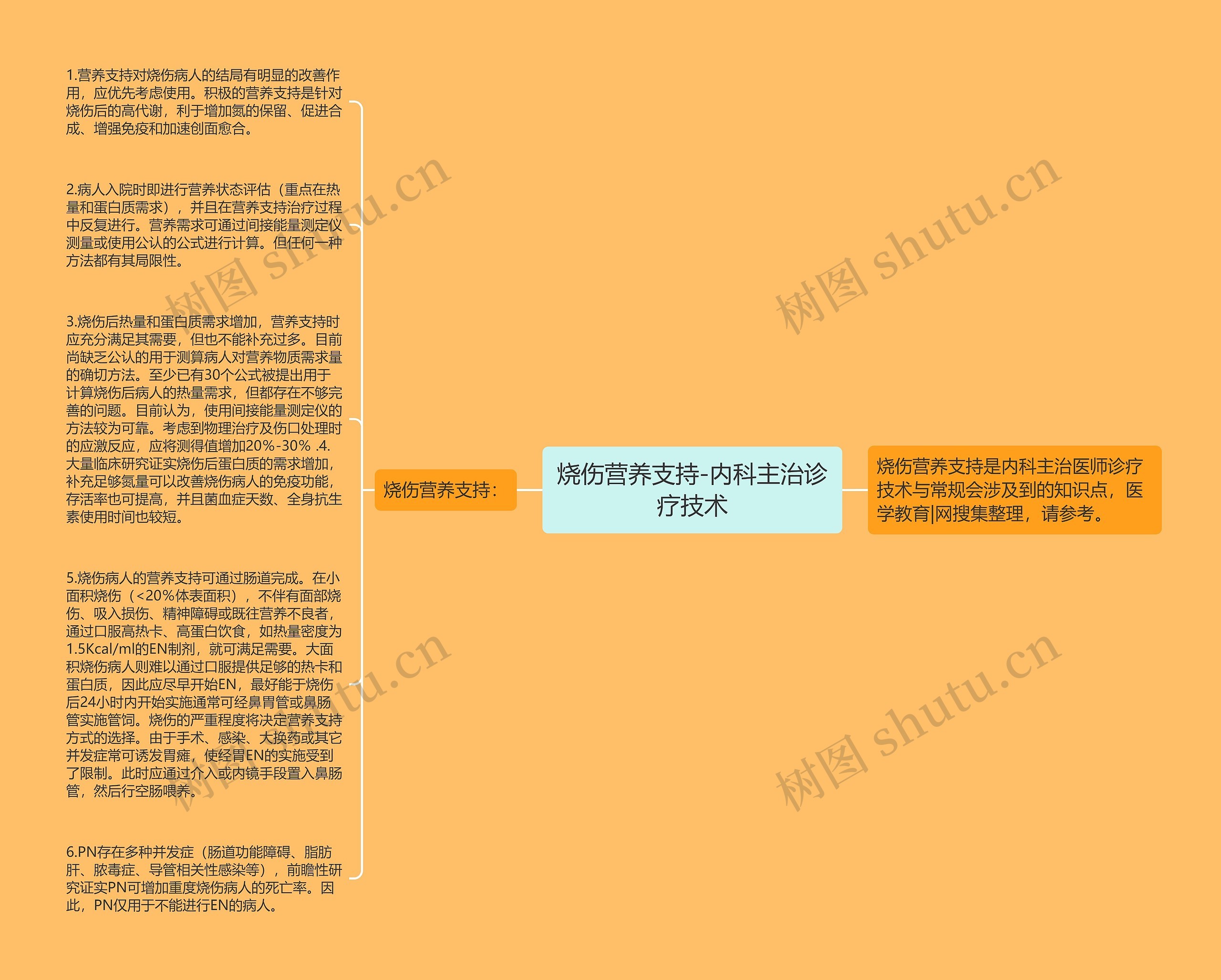 烧伤营养支持-内科主治诊疗技术