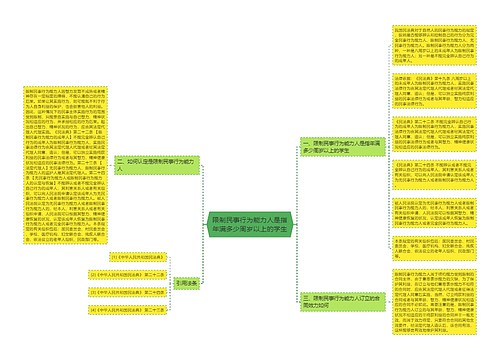 限制民事行为能力人是指年满多少周岁以上的学生