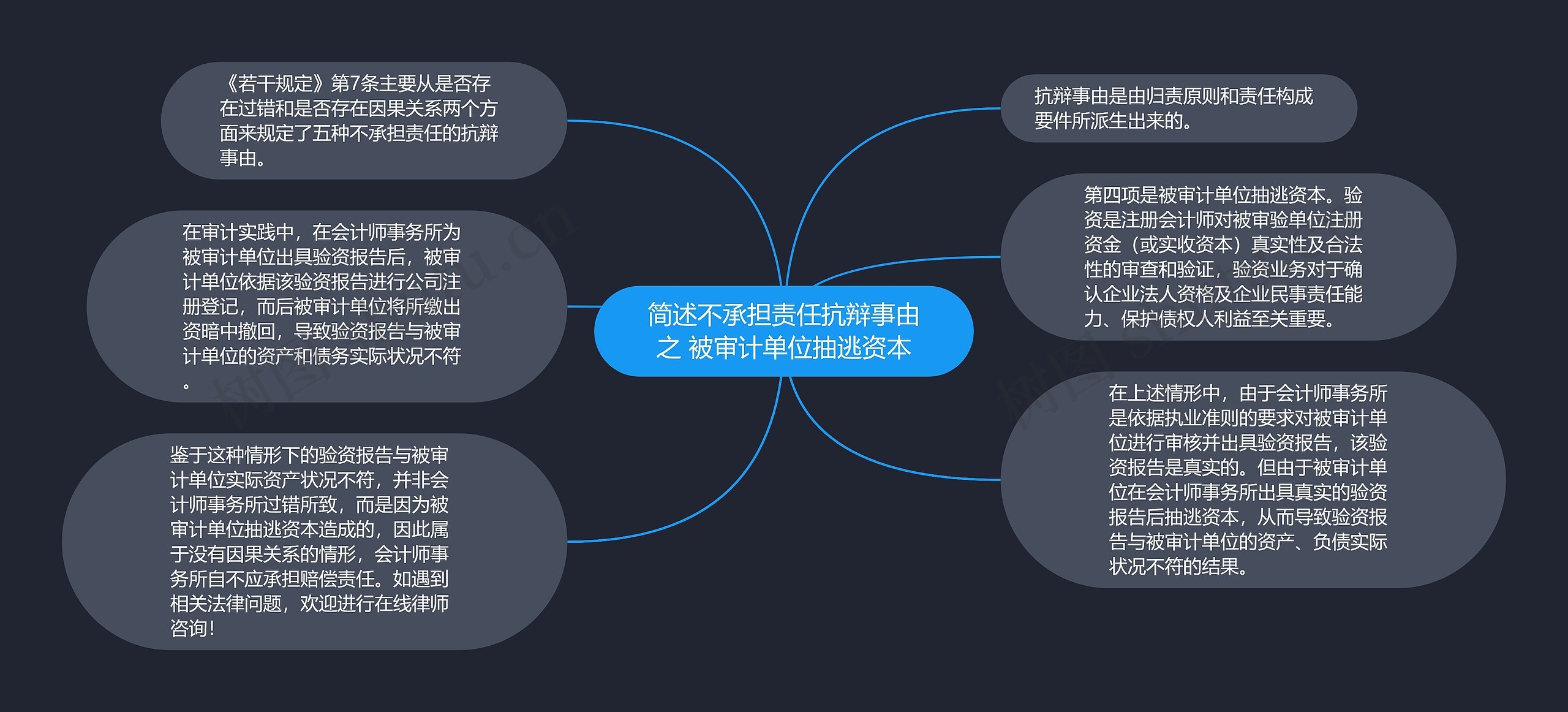 简述不承担责任抗辩事由之 被审计单位抽逃资本