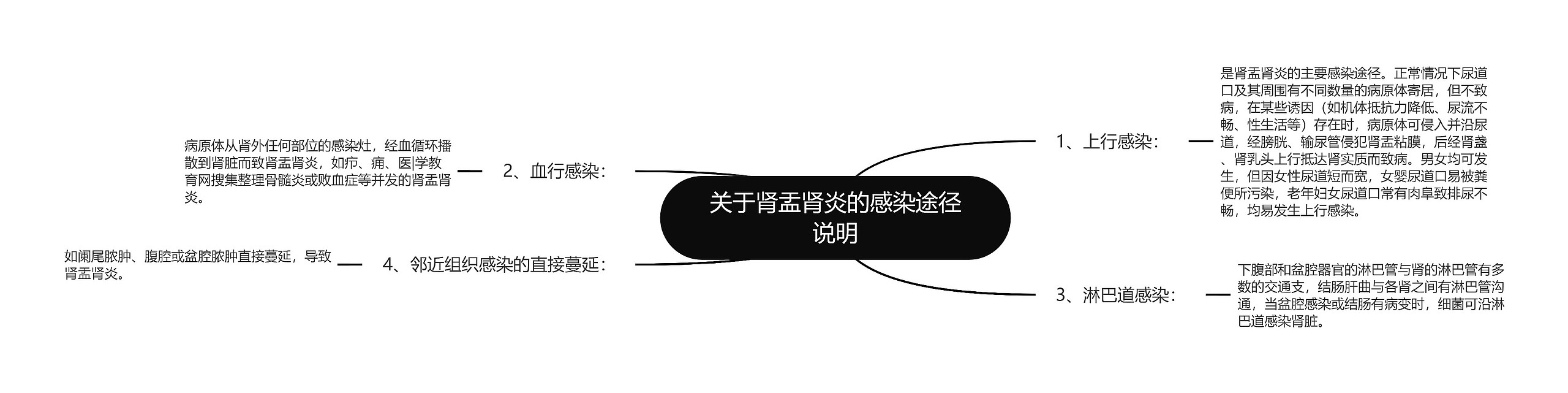 关于肾盂肾炎的感染途径说明思维导图