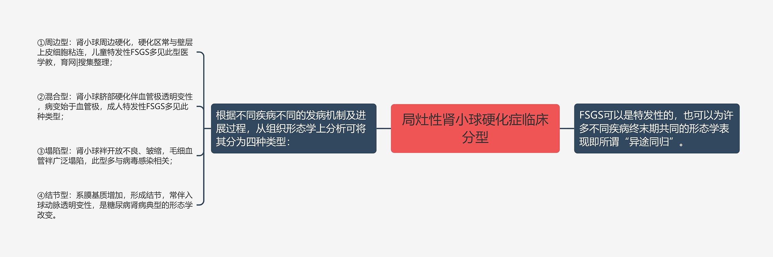 局灶性肾小球硬化症临床分型