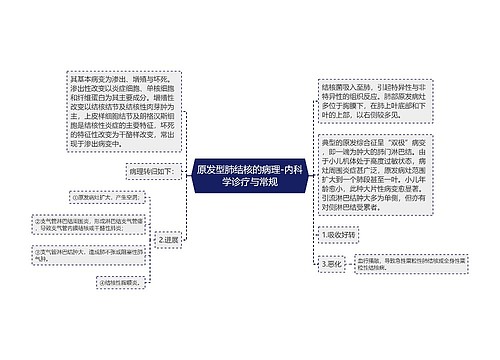 原发型肺结核的病理-内科学诊疗与常规