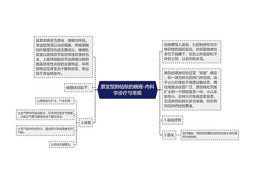 原发型肺结核的病理-内科学诊疗与常规