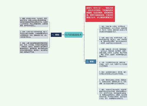 牡丹的栽培技术