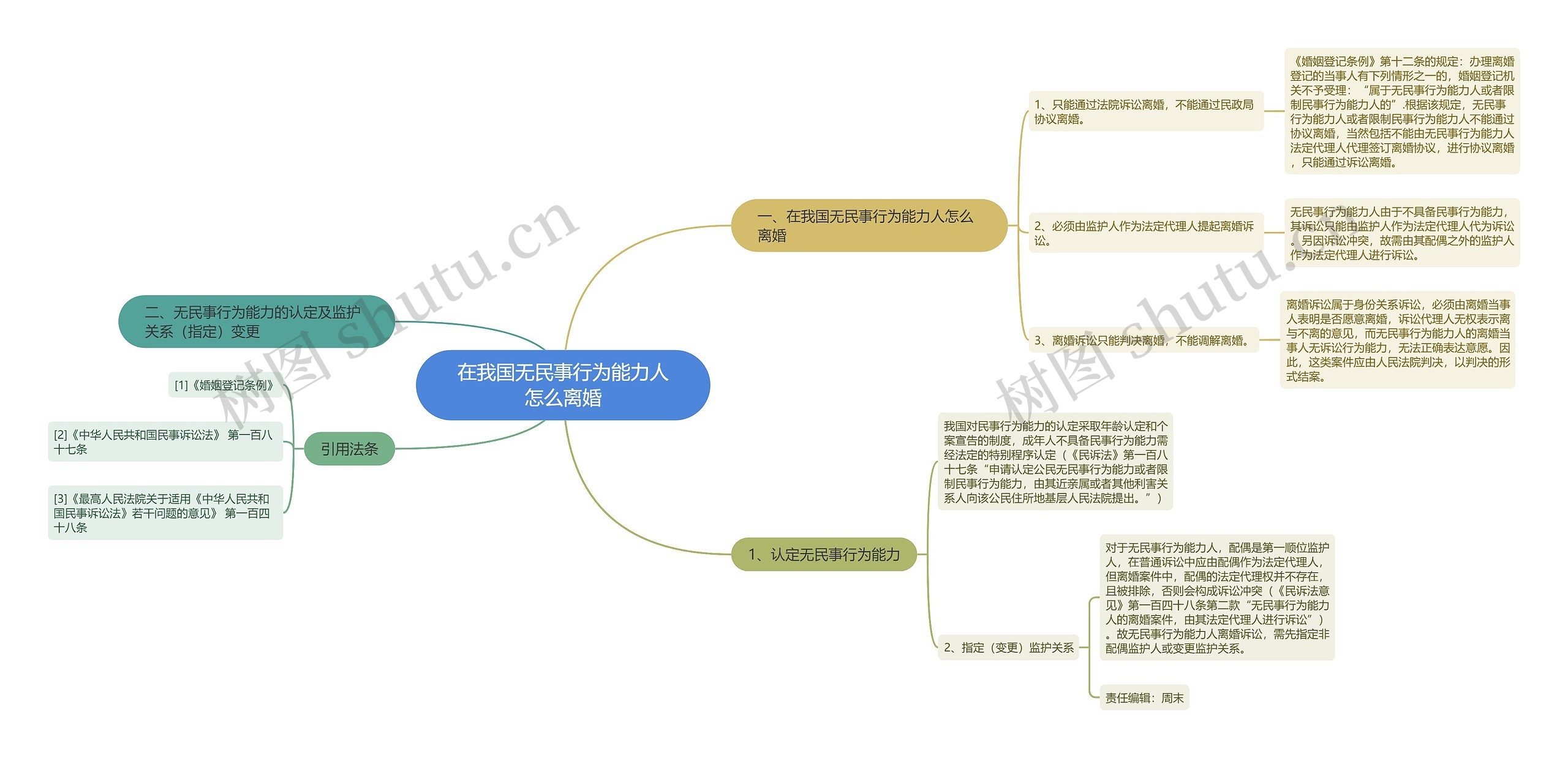 在我国无民事行为能力人怎么离婚思维导图