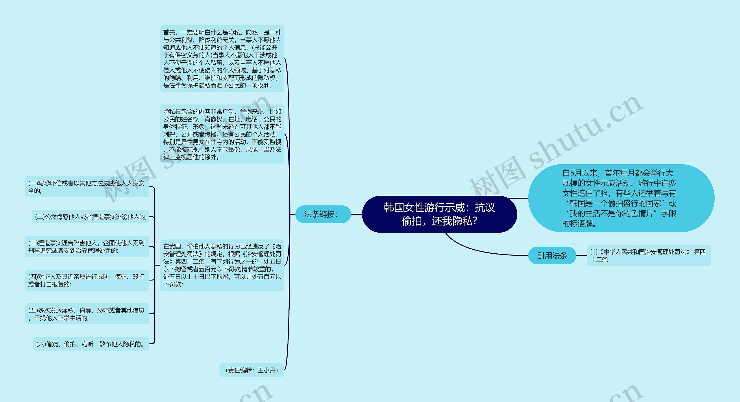 韩国女性游行示威：抗议偷拍，还我隐私?思维导图