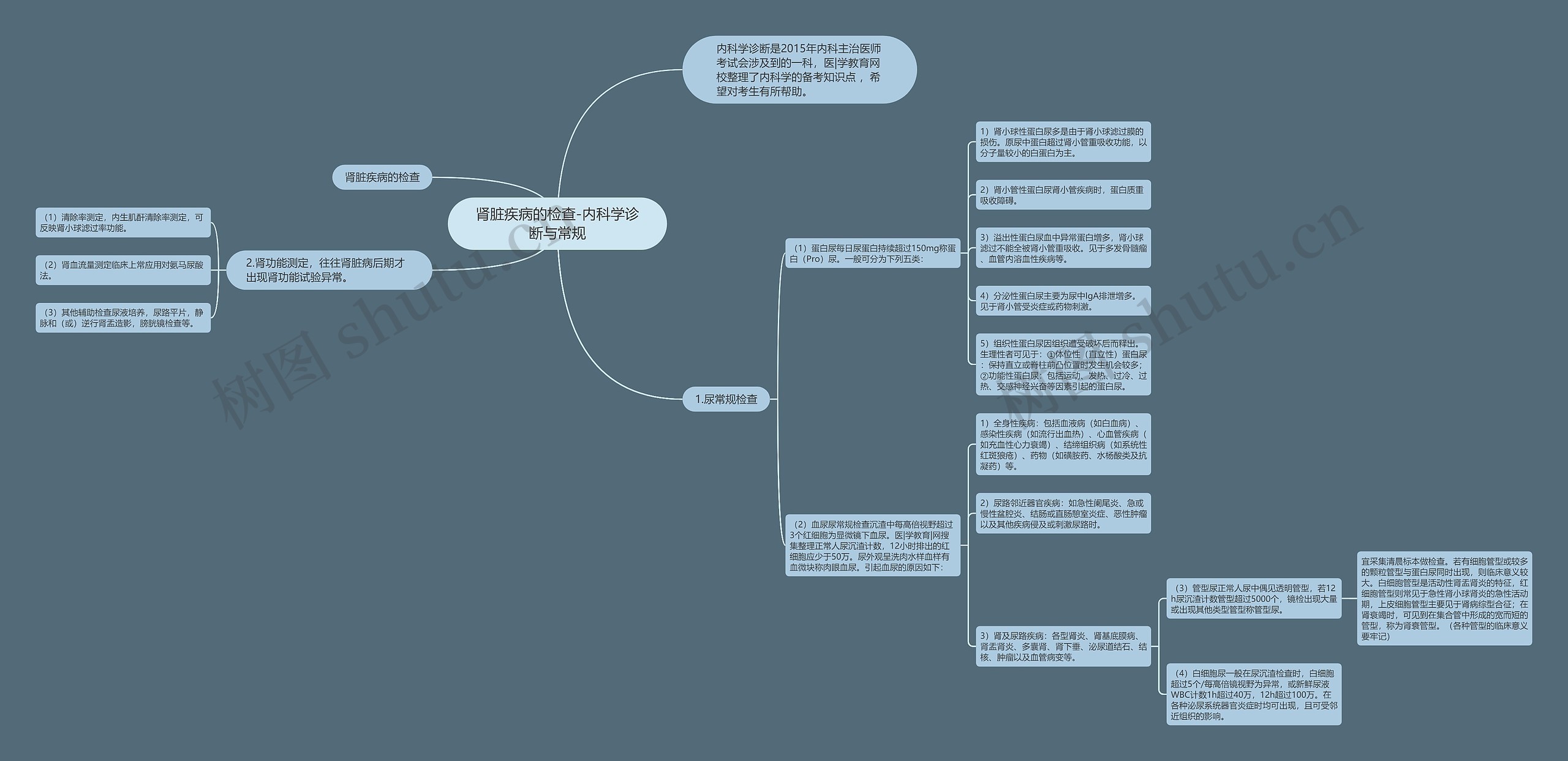 肾脏疾病的检查-内科学诊断与常规思维导图