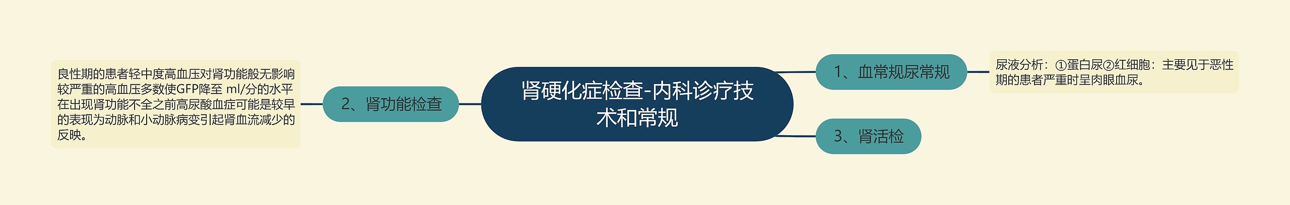 肾硬化症检查-内科诊疗技术和常规思维导图