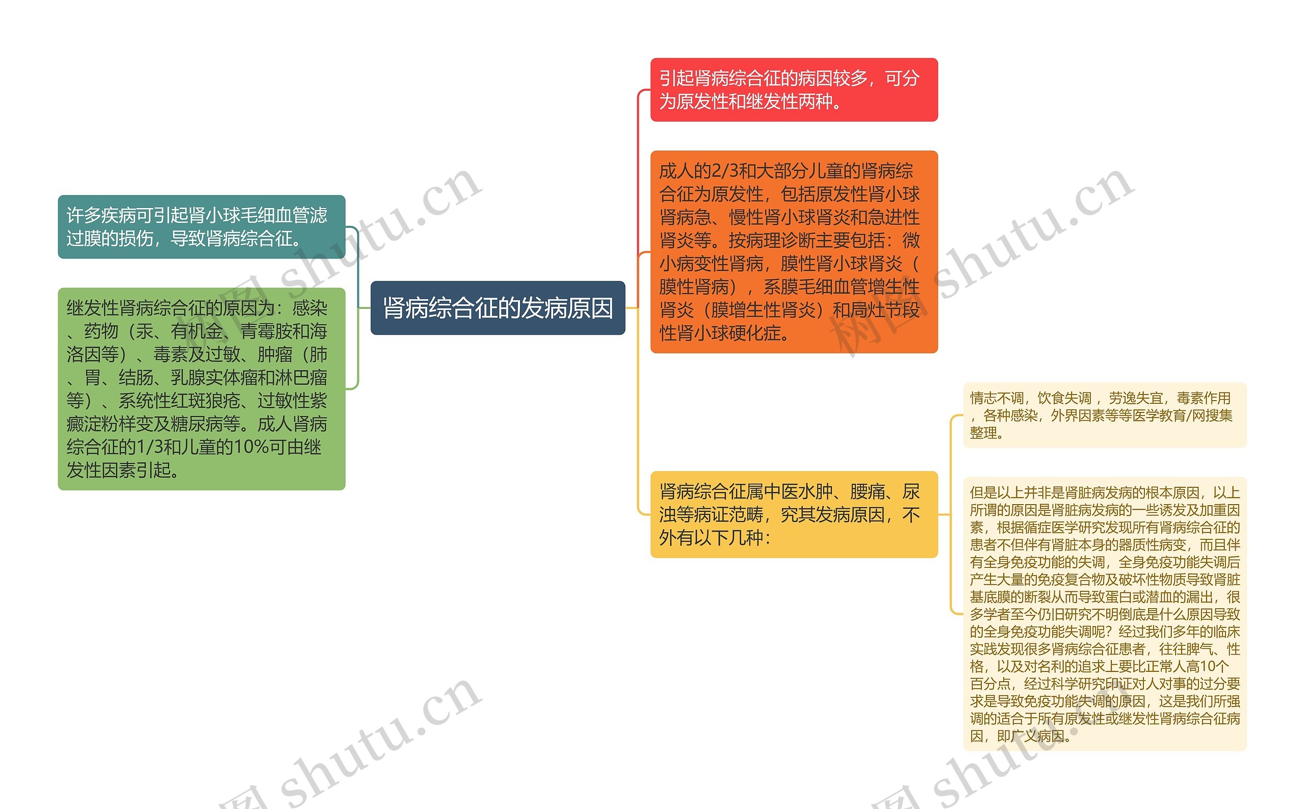 肾病综合征的发病原因思维导图