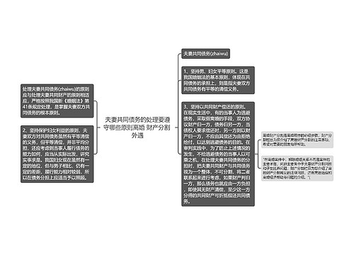 夫妻共同债务的处理要遵守哪些原则离婚 财产分割 外遇