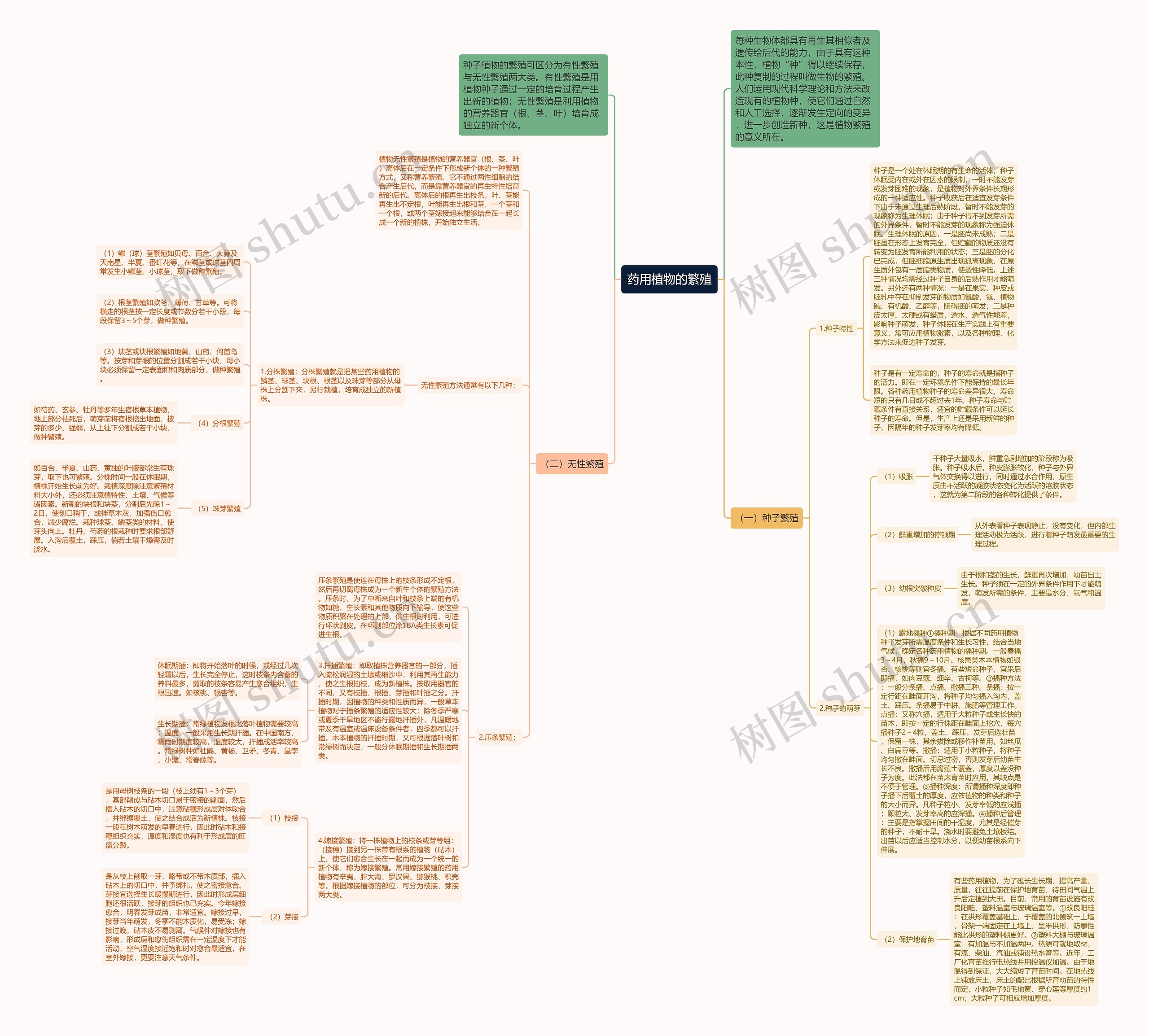 药用植物的繁殖思维导图