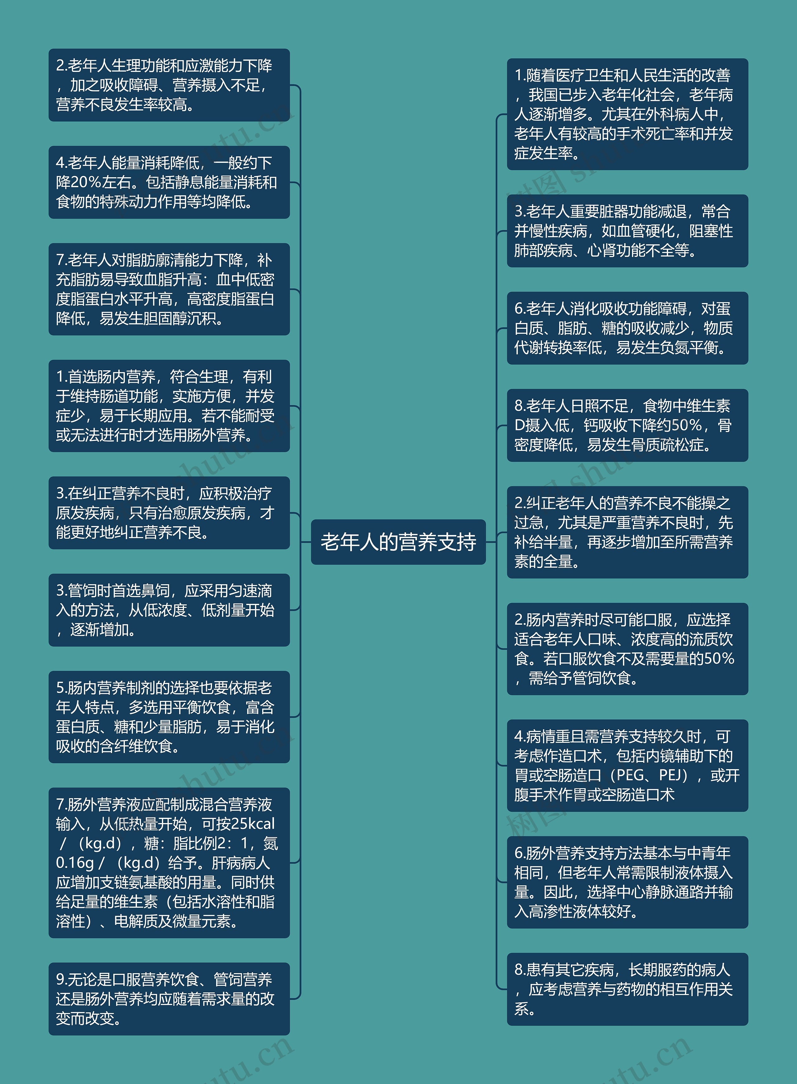 老年人的营养支持思维导图