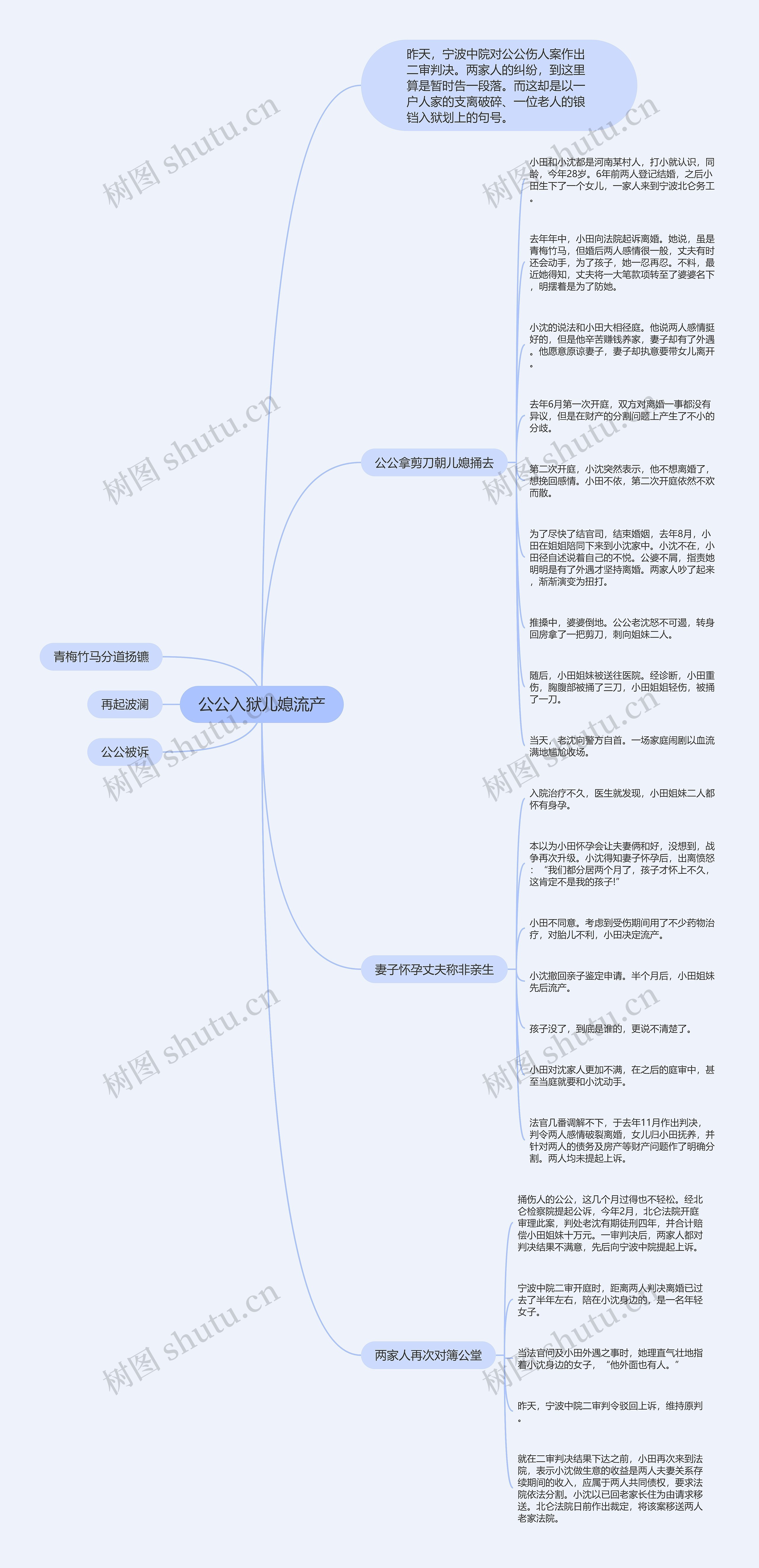 公公入狱儿媳流产思维导图