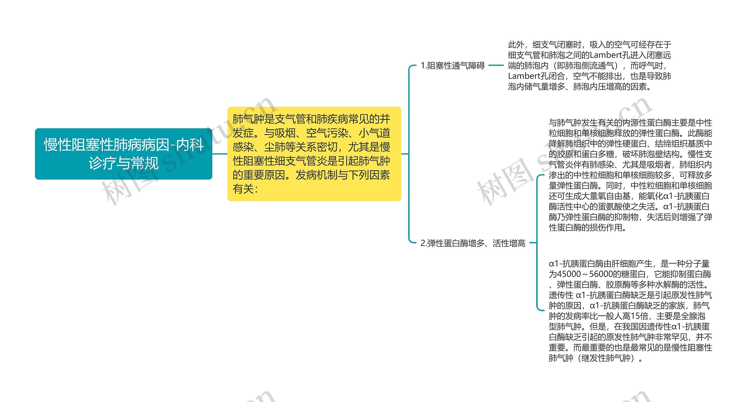 慢性阻塞性肺病病因-内科诊疗与常规