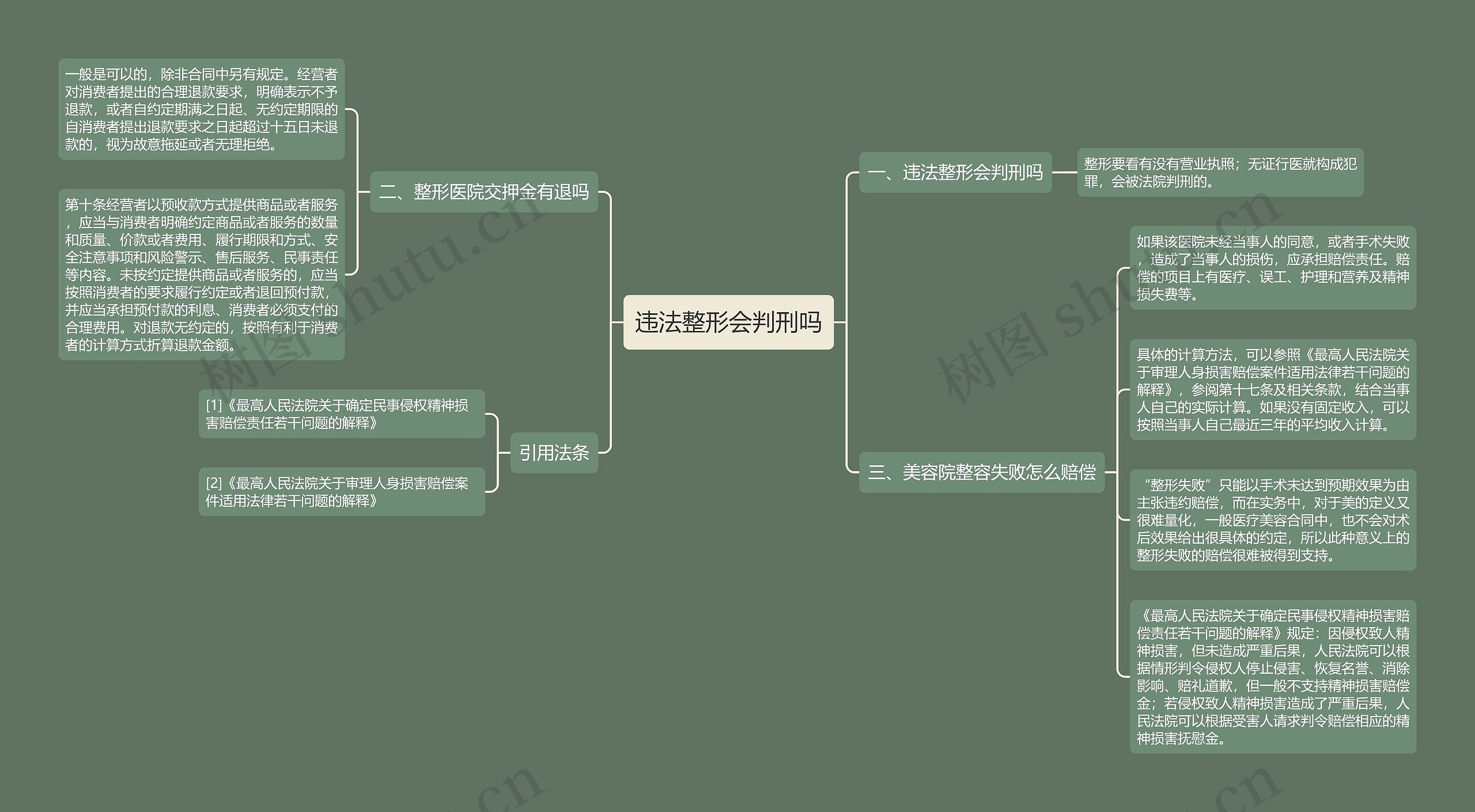 违法整形会判刑吗思维导图