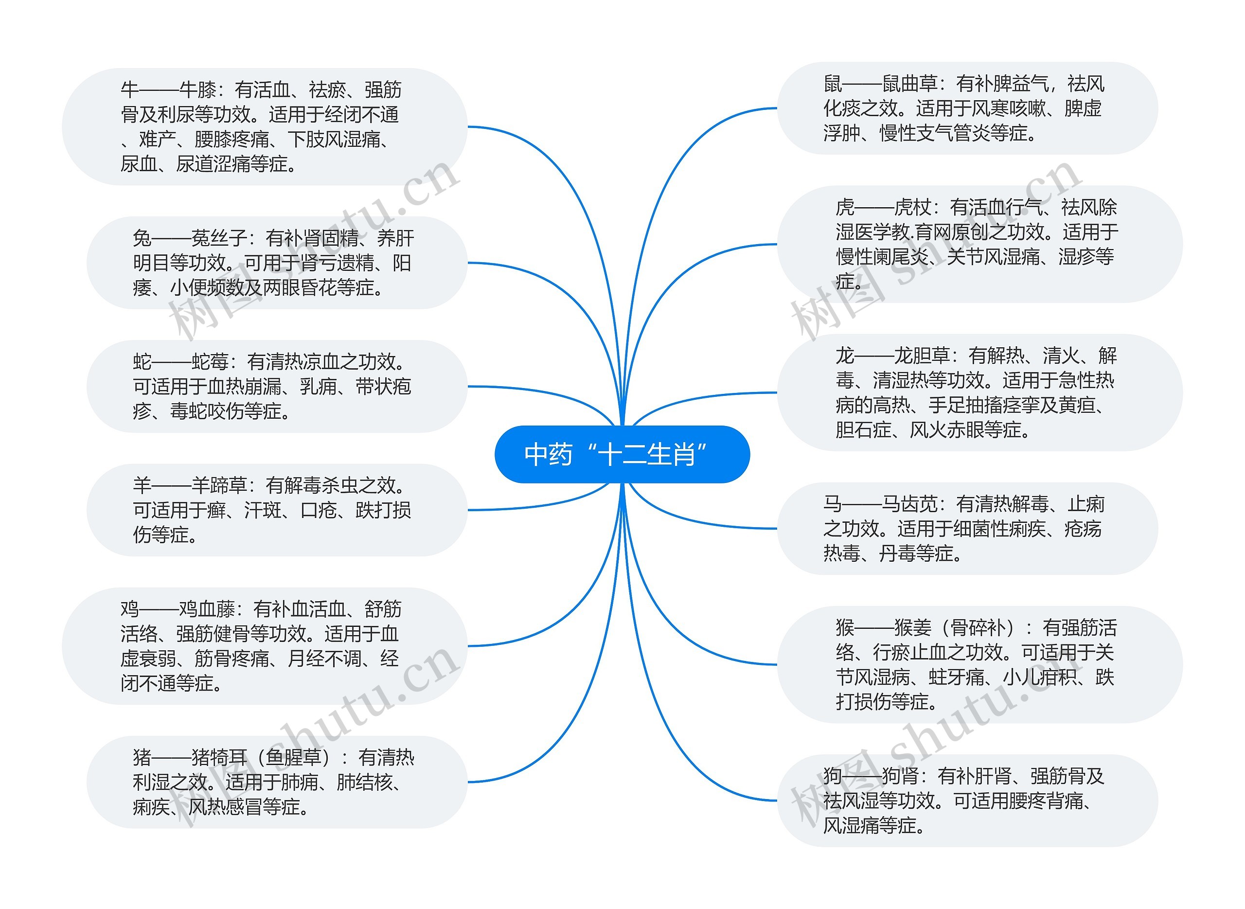 中药“十二生肖”