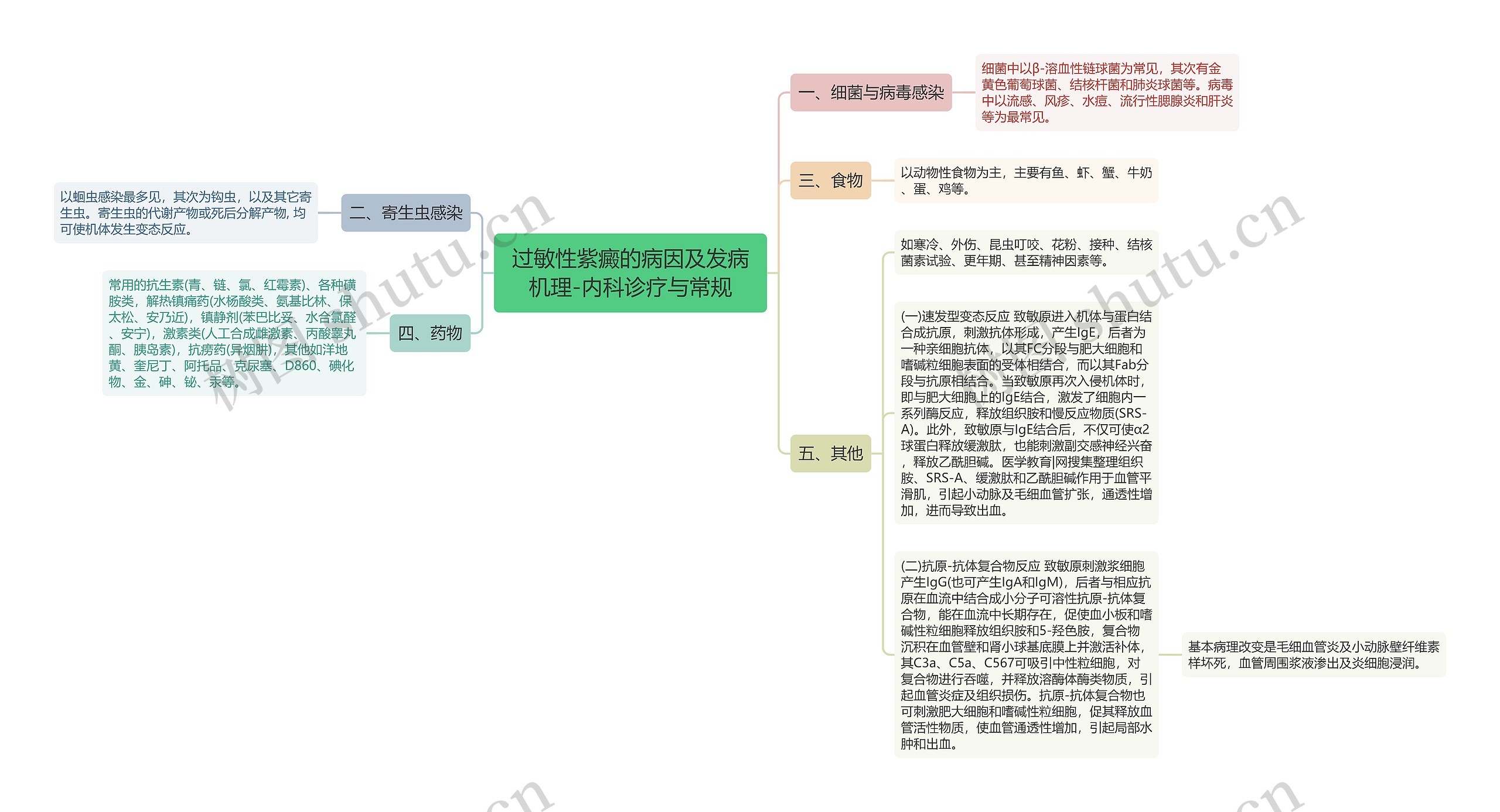 过敏性紫癜的病因及发病机理-内科诊疗与常规