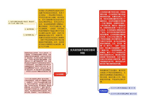 丈夫欲为孩子改姓引官司纠纷