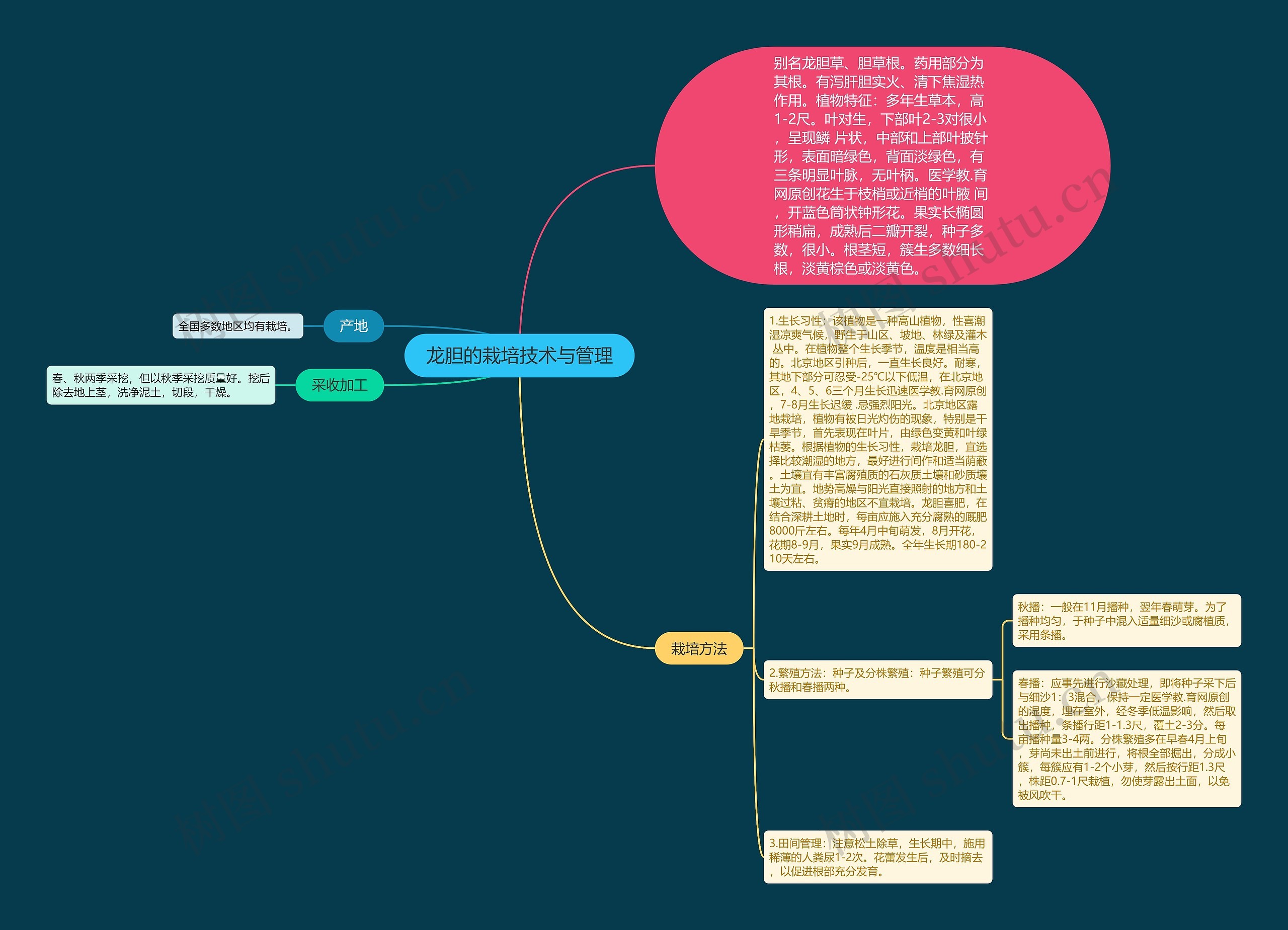 龙胆的栽培技术与管理思维导图